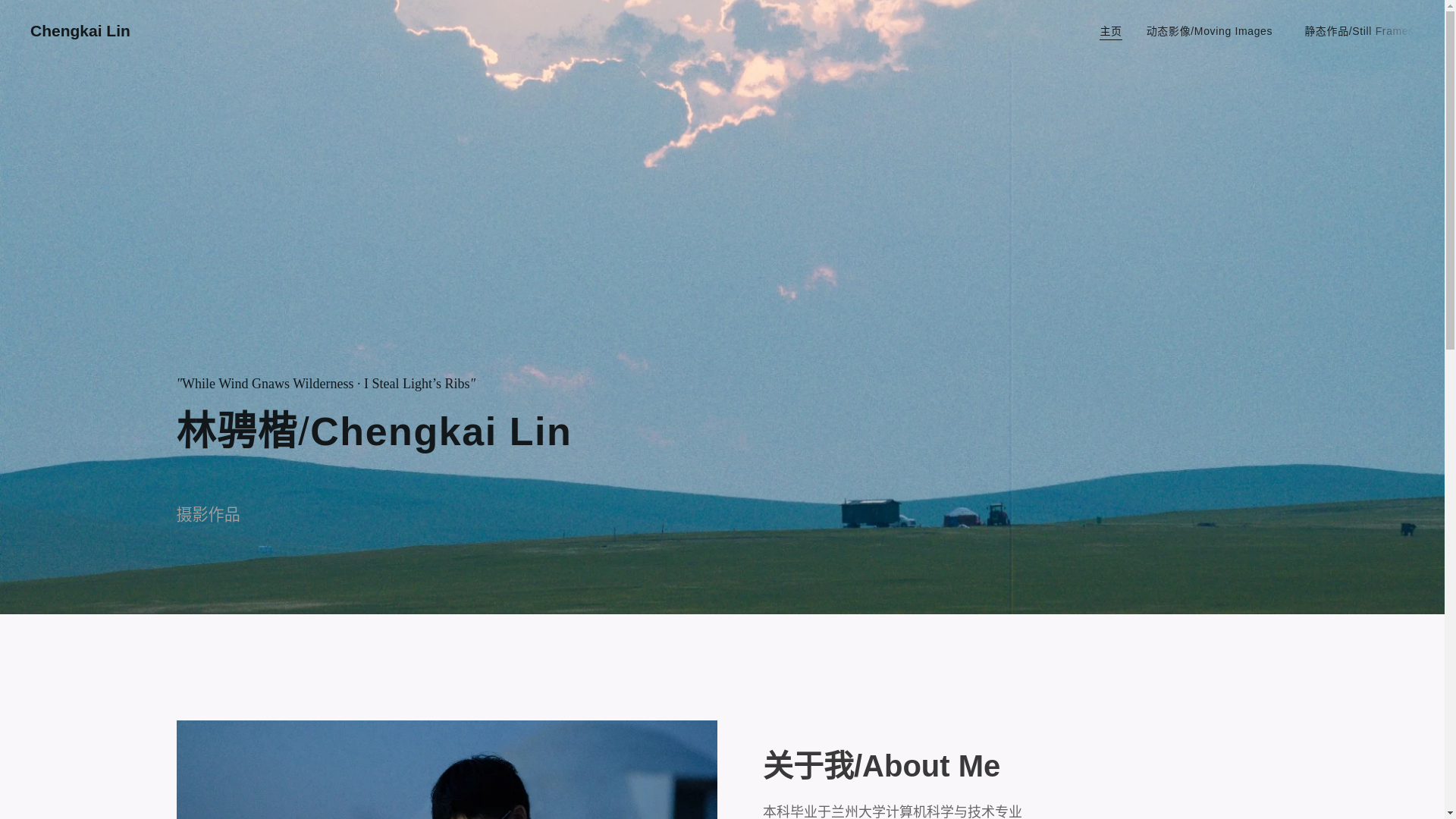 website screenshot of https://ckl-vision.com/
