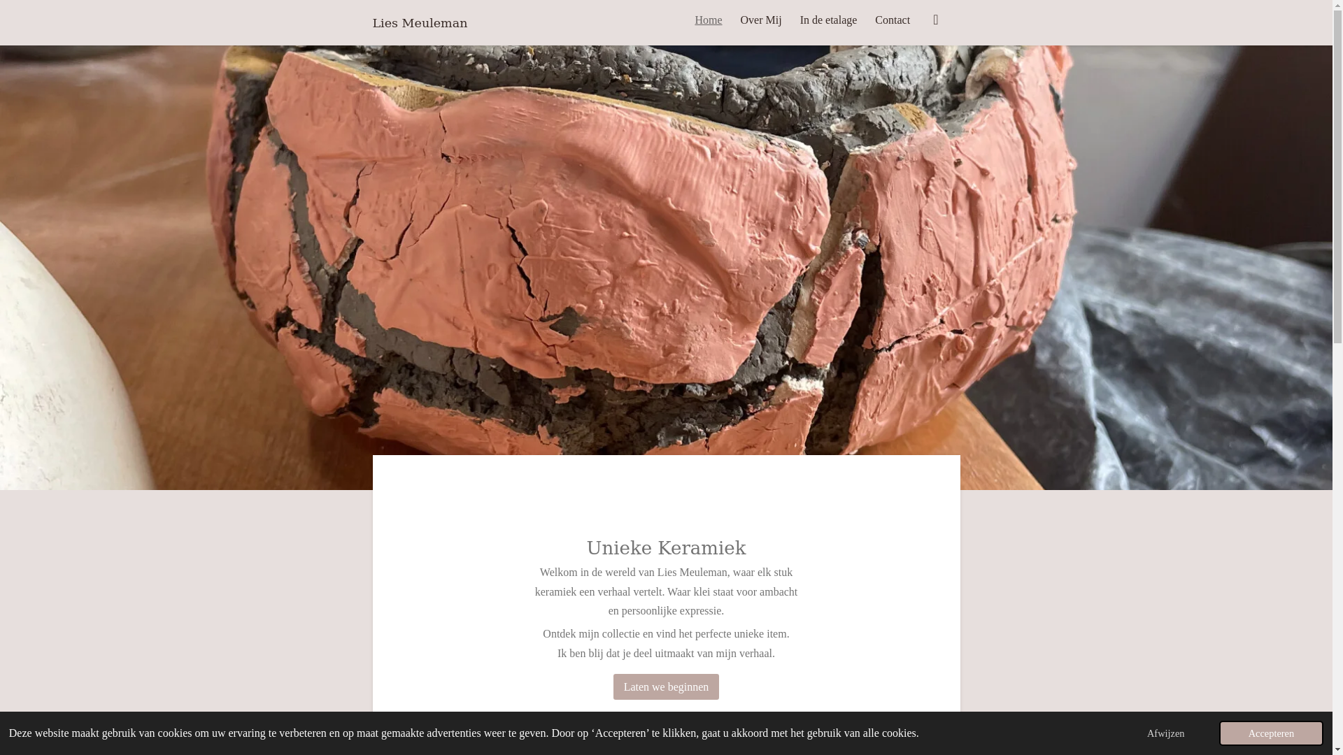 website screenshot of https://liesmeuleman.be/
