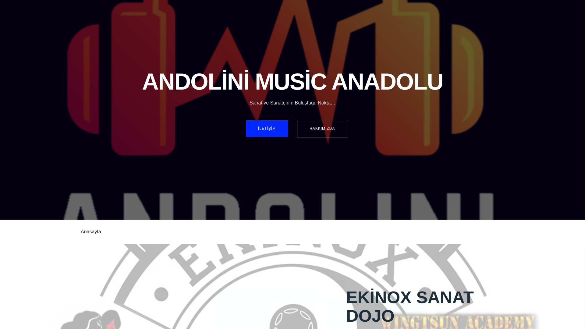 website screenshot of https://andolinimusic.com.tr/