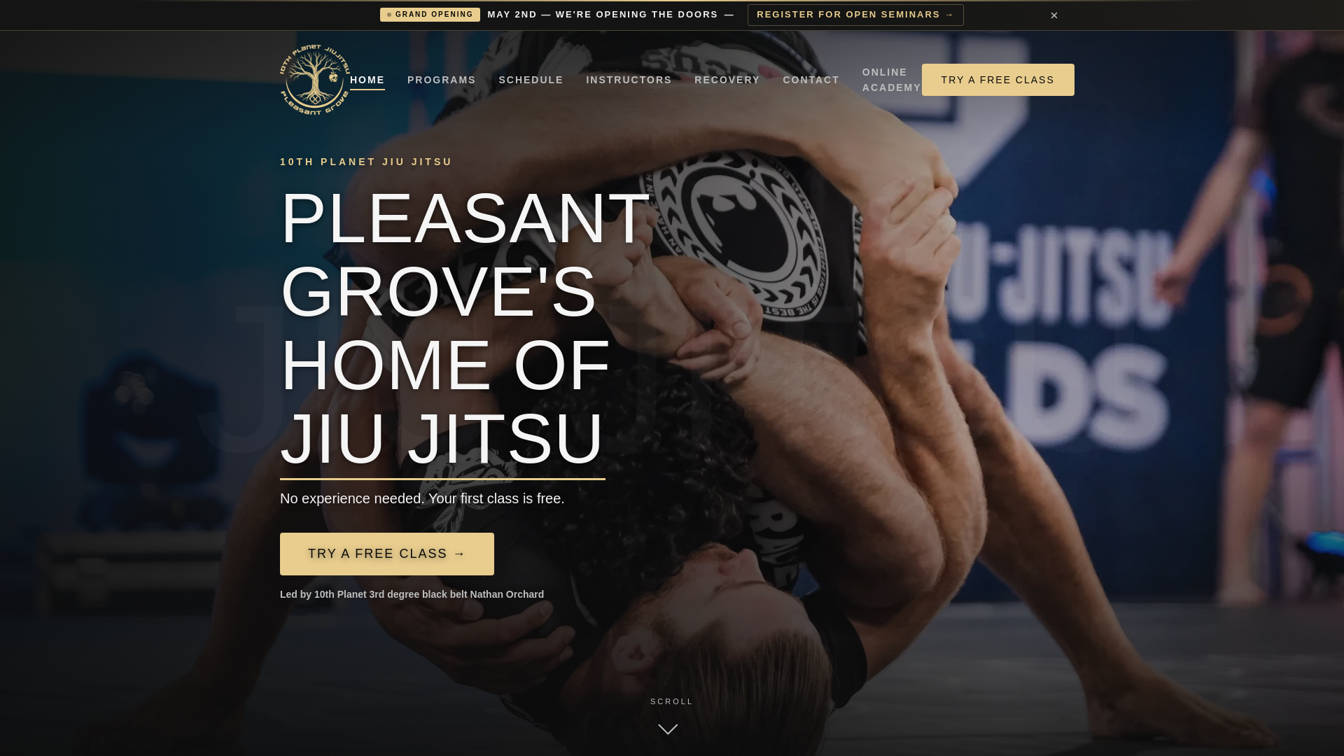 website screenshot of https://10thplanetpleasantgrove.pages.dev/