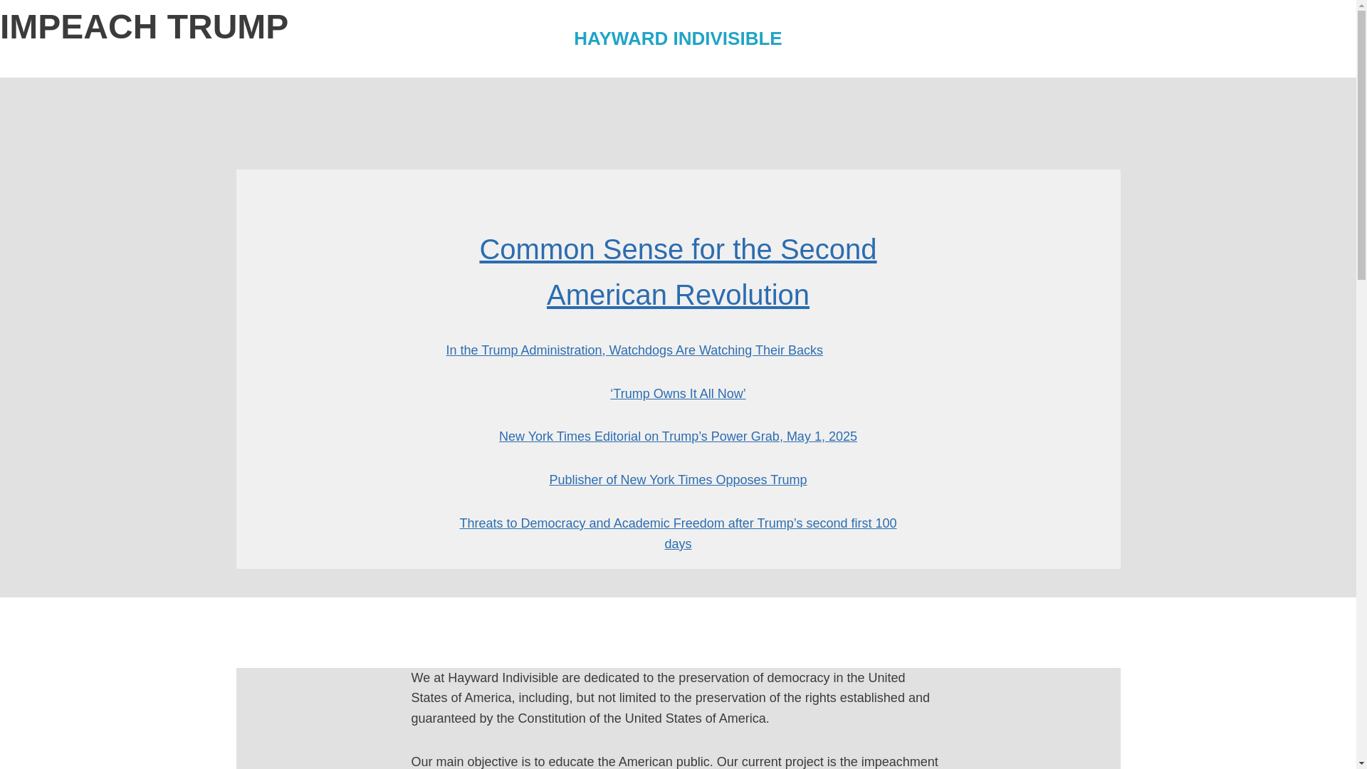 website screenshot of https://haywardindivisible.org/