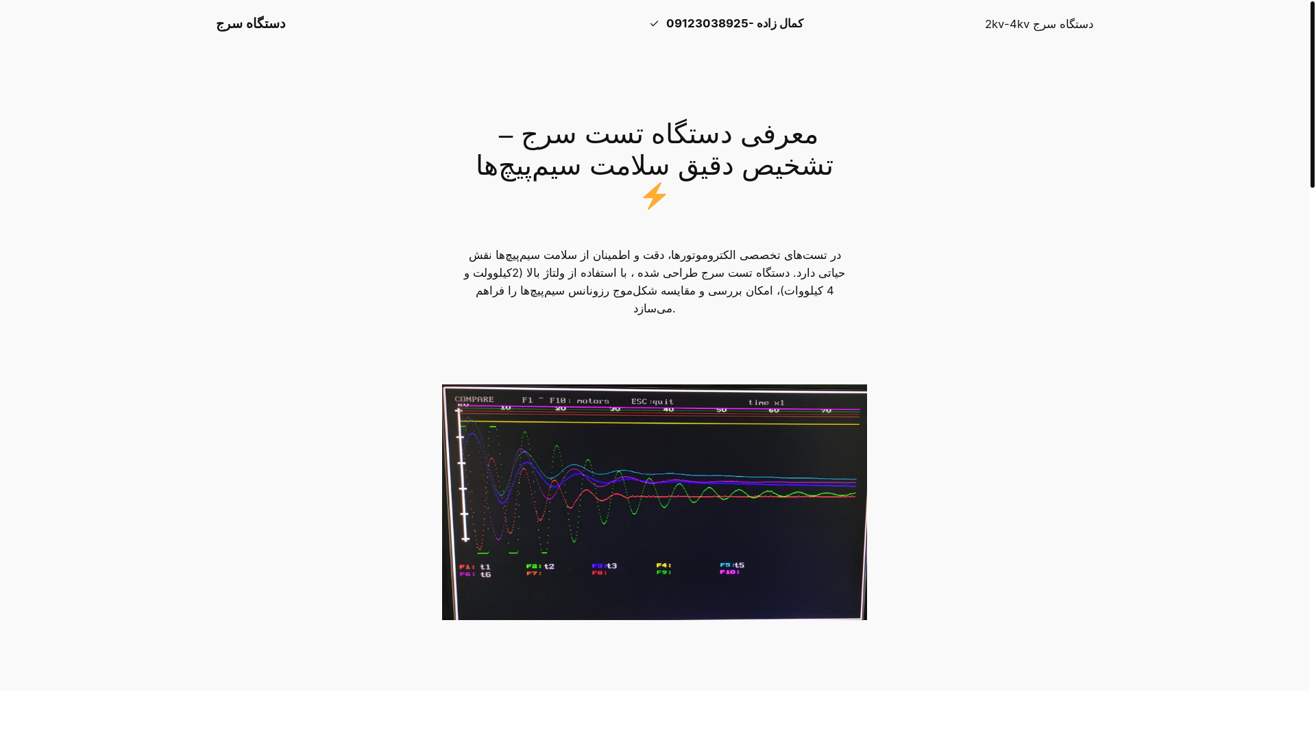 website screenshot of https://surgetest.ir/