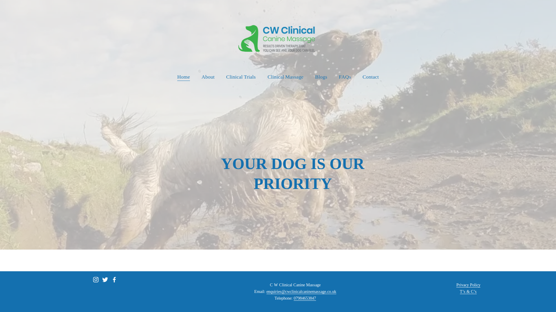 website screenshot of https://cw-collective-chiropractic.com/