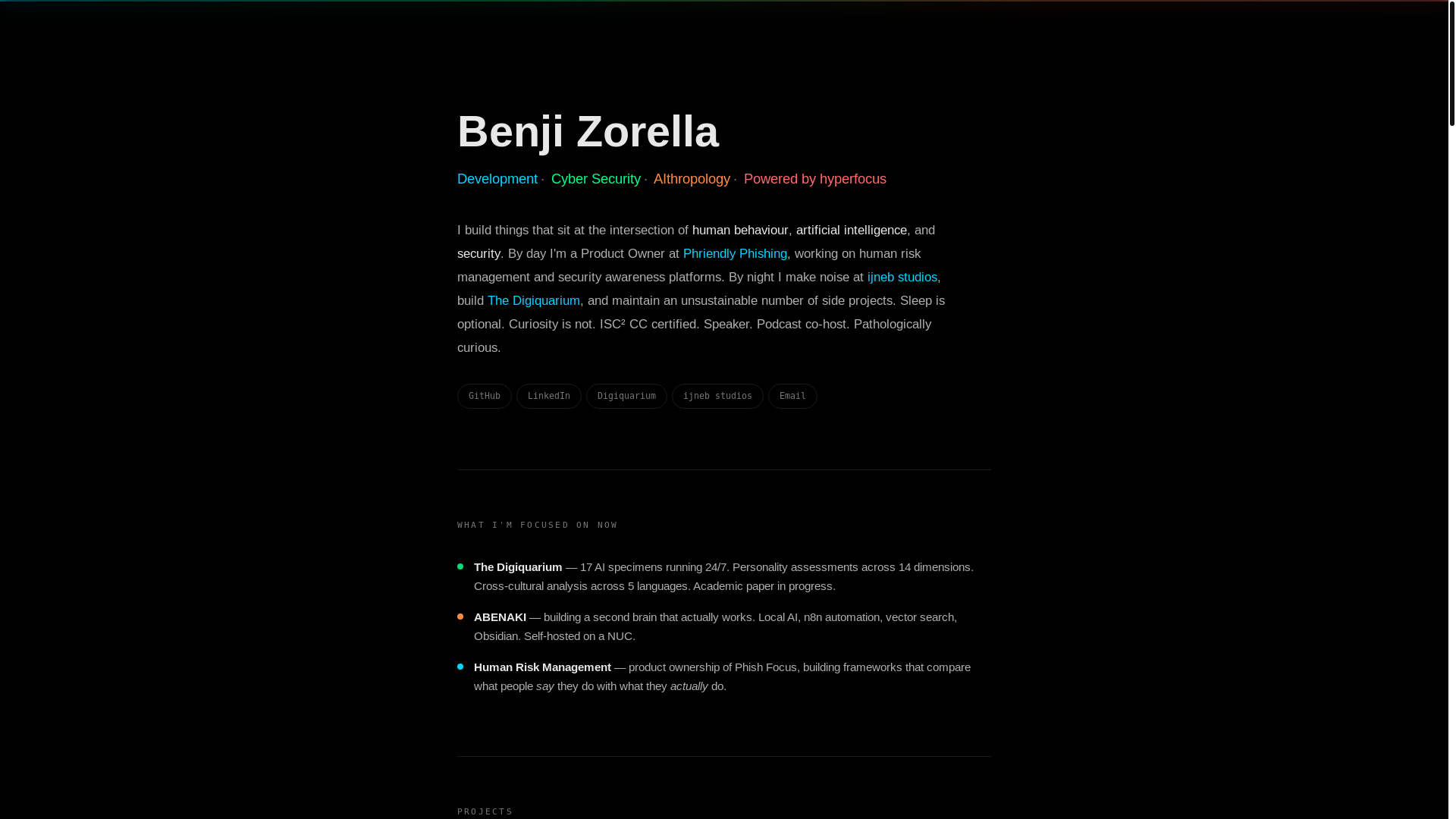 website screenshot of https://ijneb.org/