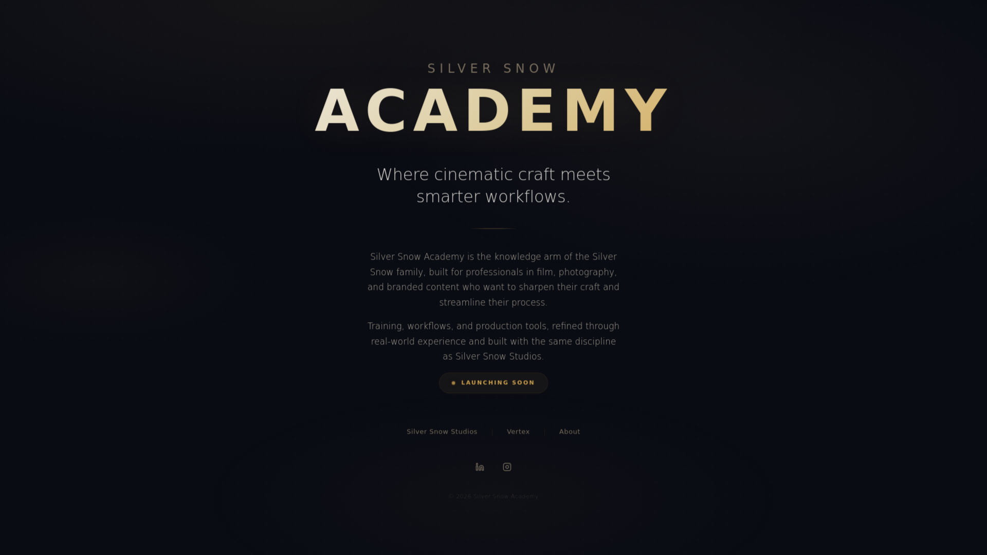 website screenshot of https://silversnow-academy.pages.dev/