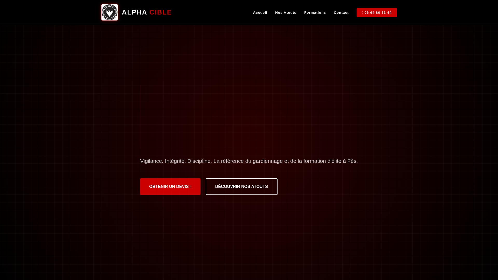 website screenshot of https://alphacible-gardiennage.com/