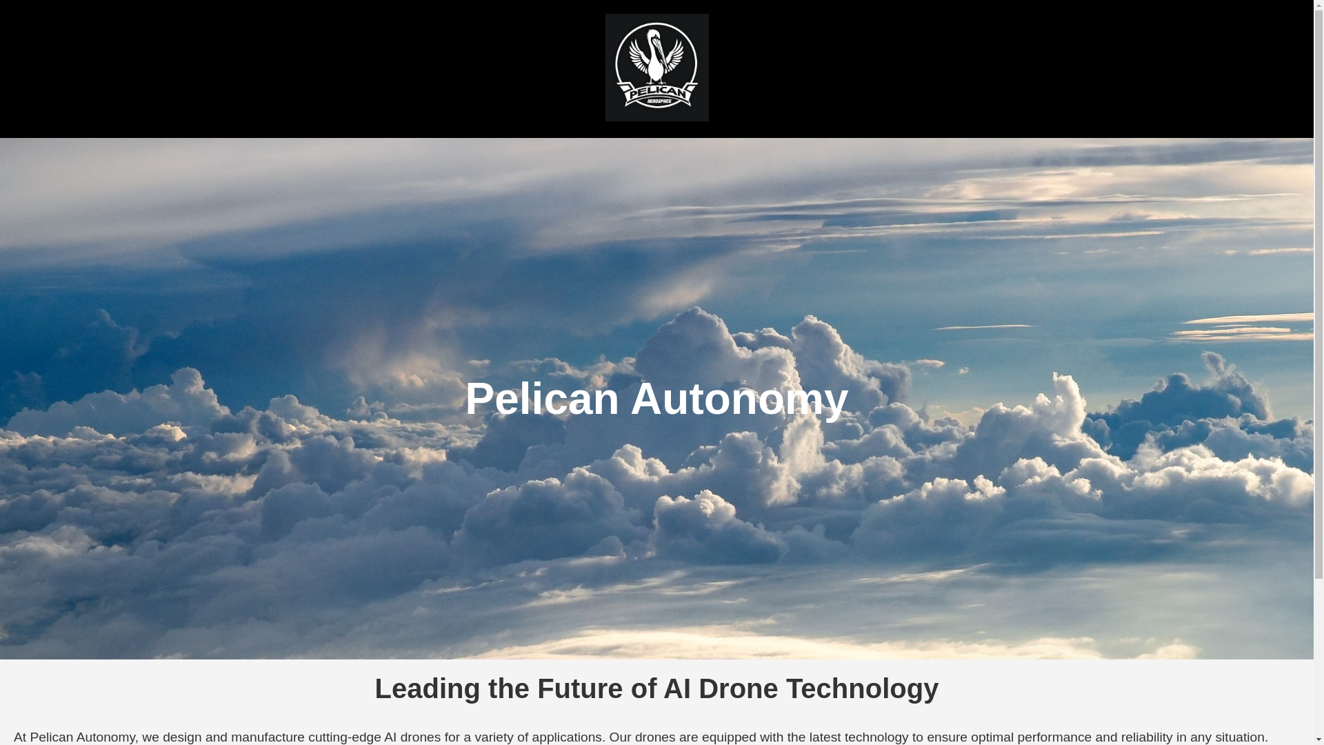 website screenshot of https://pelicanrobotics.co/