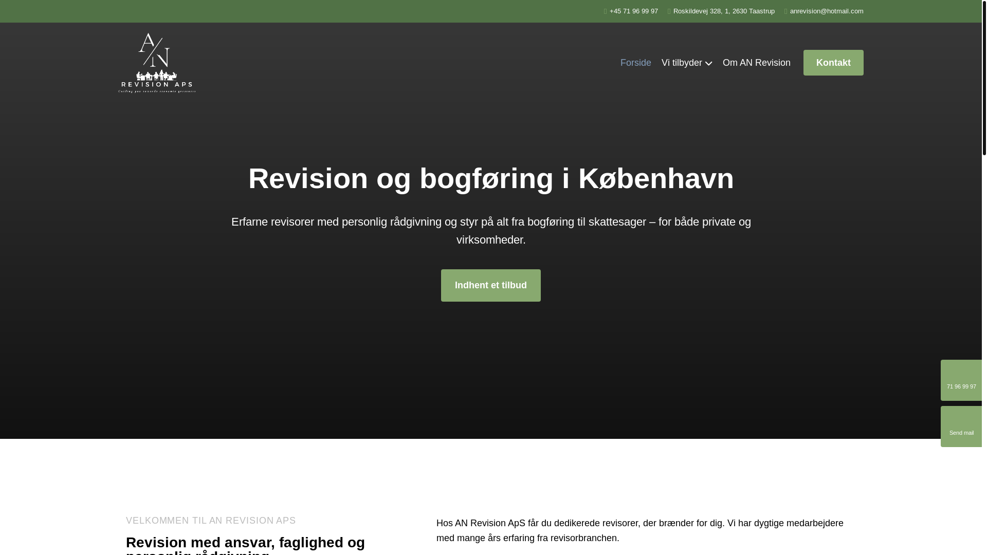 website screenshot of https://anrevision.dk/