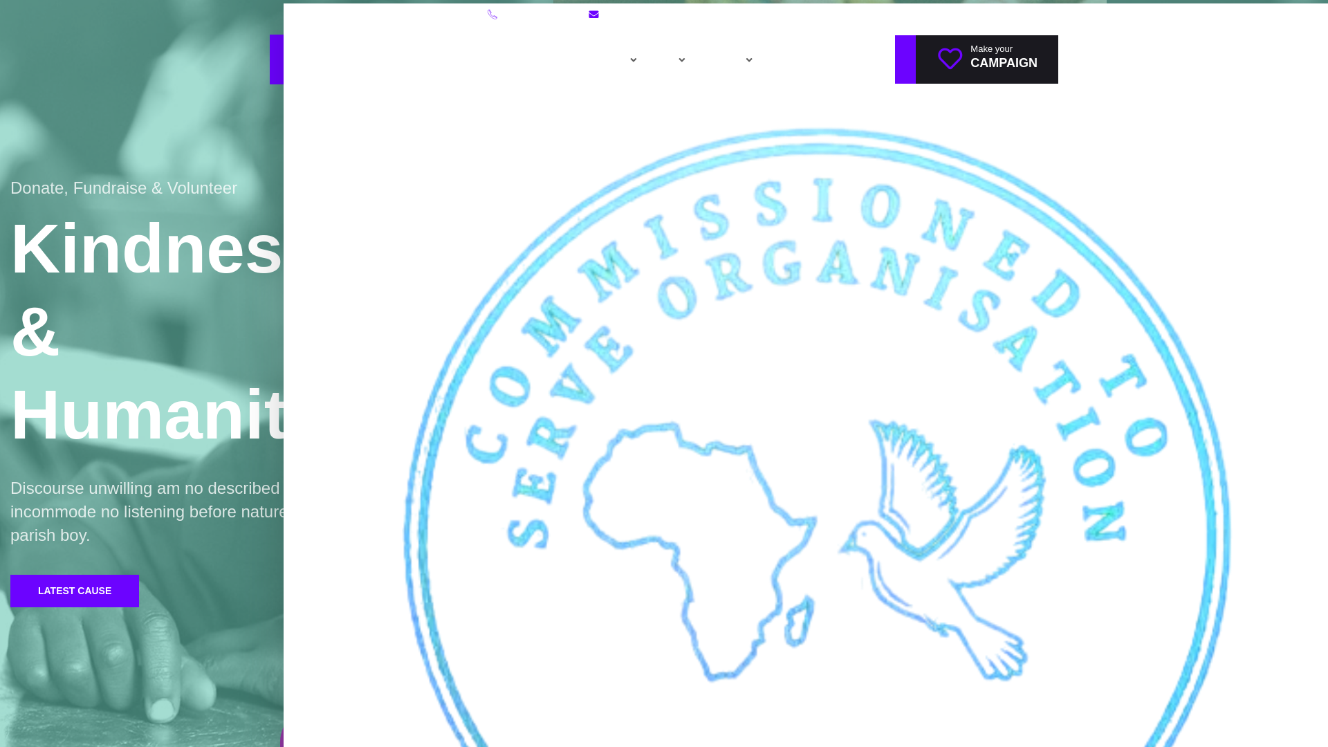 website screenshot of https://commissiontoserve.org/
