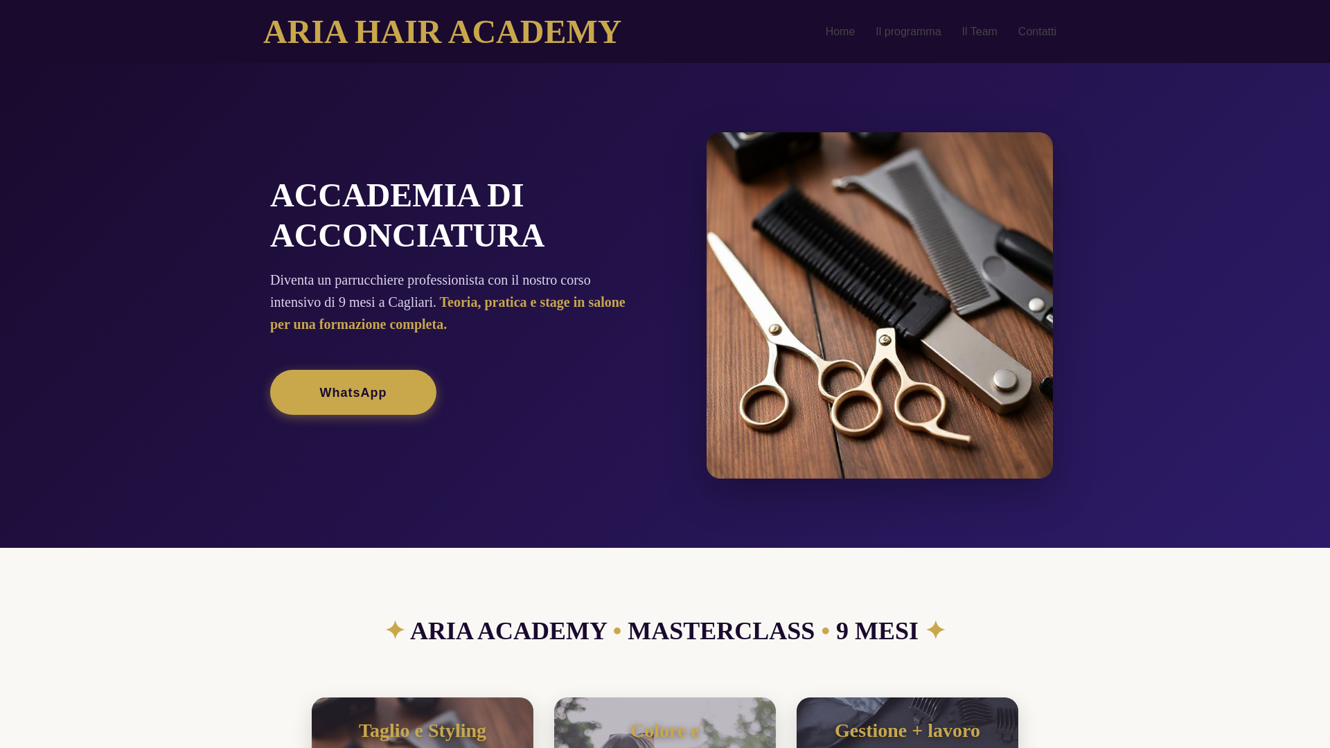 website screenshot of https://ariacasteddu.com/