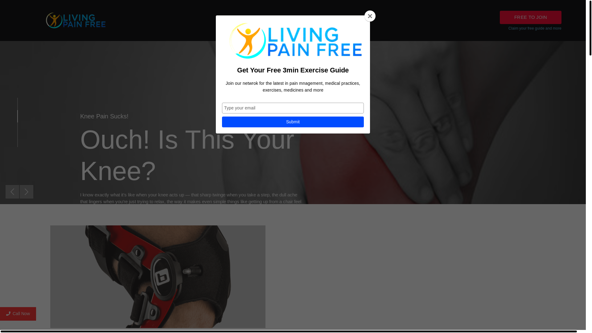 website screenshot of https://livingpainfree.me/