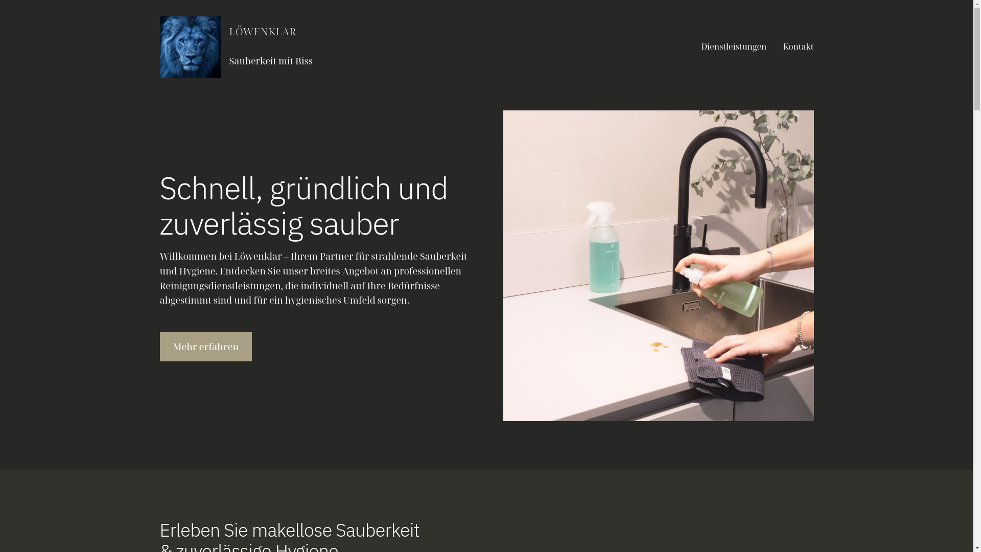 website screenshot of https://xn--lwenklar-n4a.de/