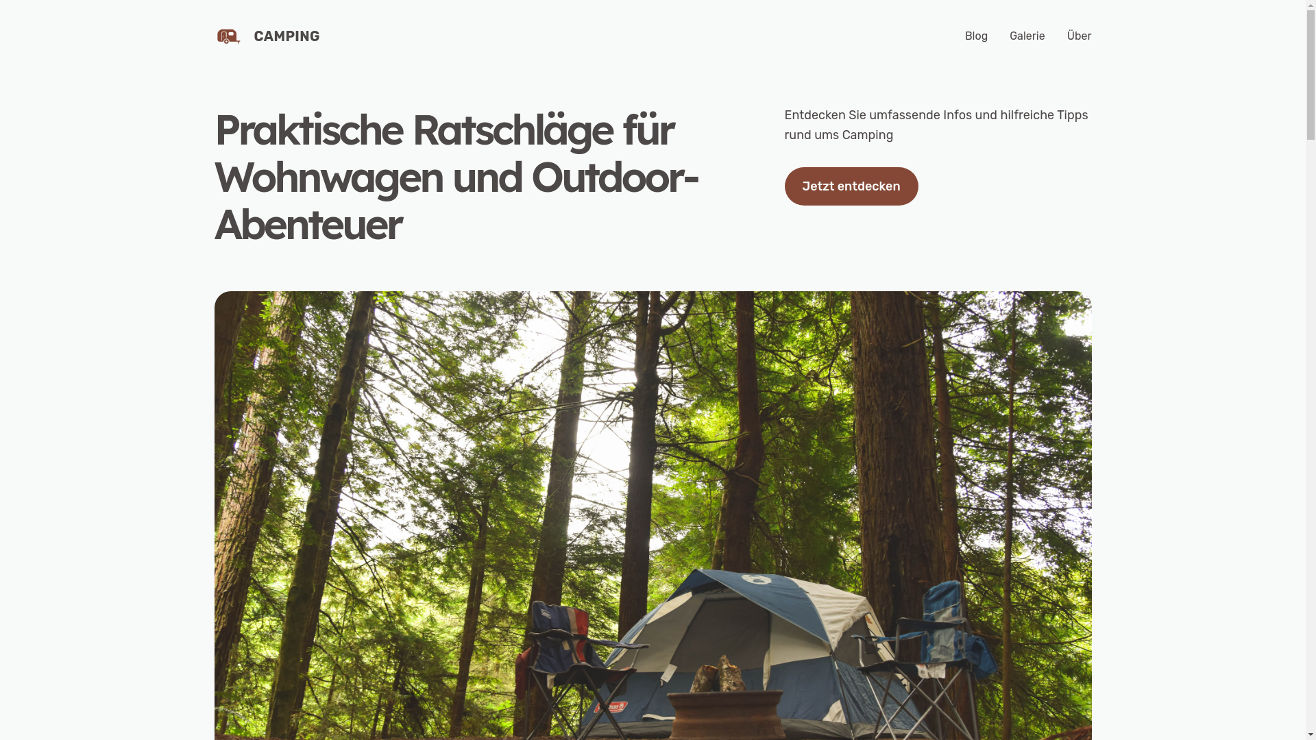 website screenshot of https://bosbachdaniel.de/