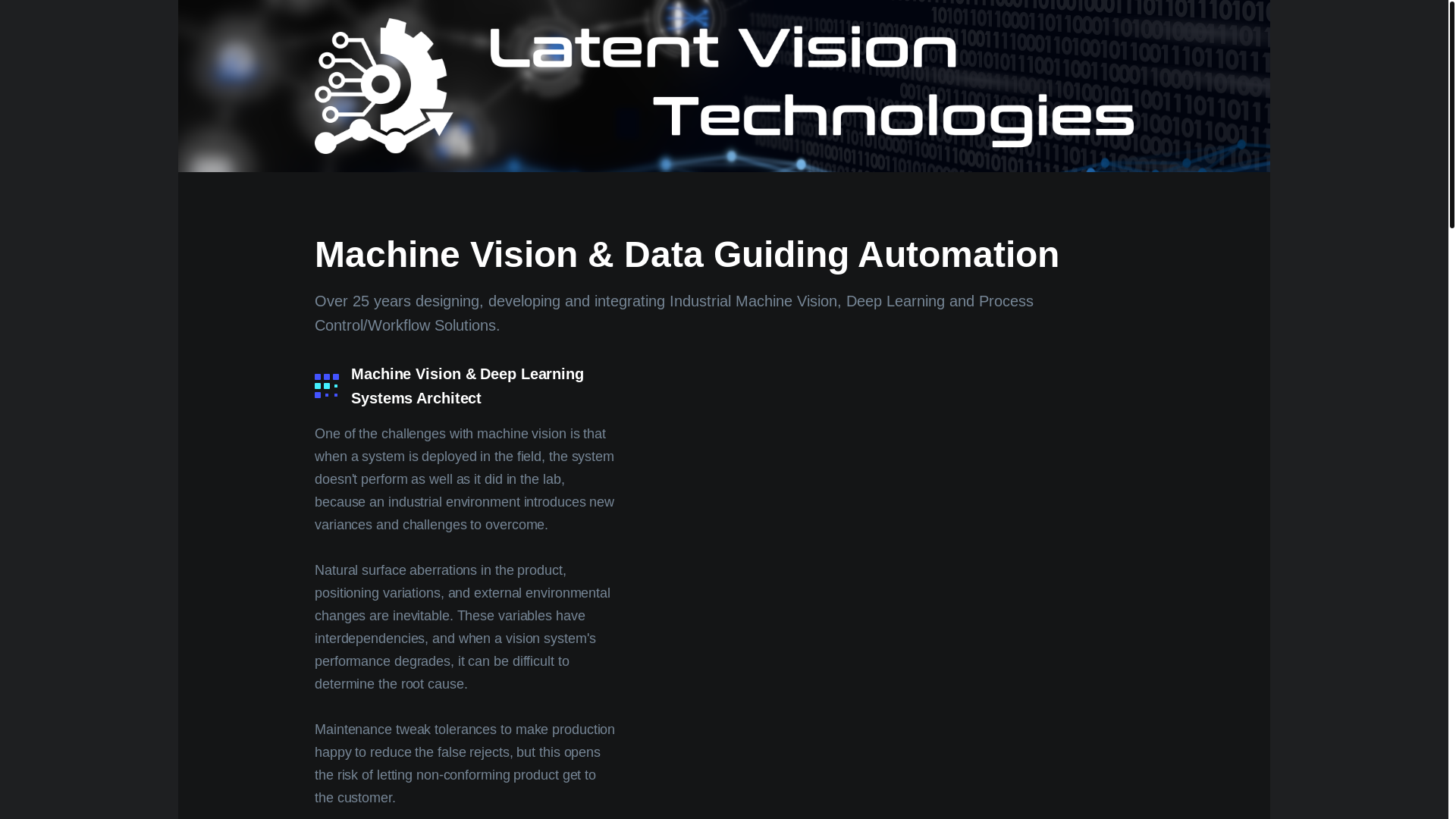 website screenshot of https://lvt-starter-website.pages.dev/