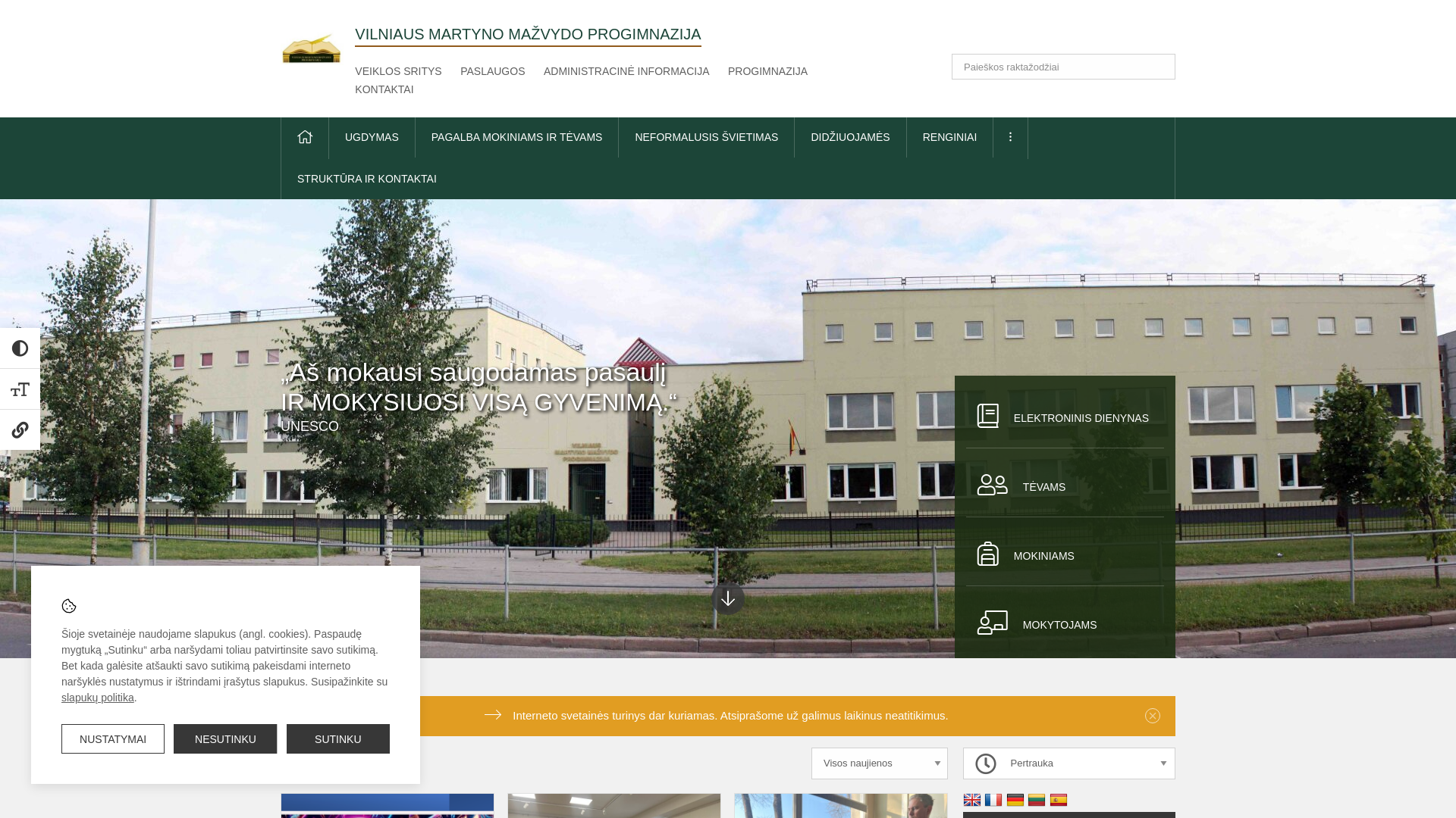 website screenshot of https://mmazvydas.lt/