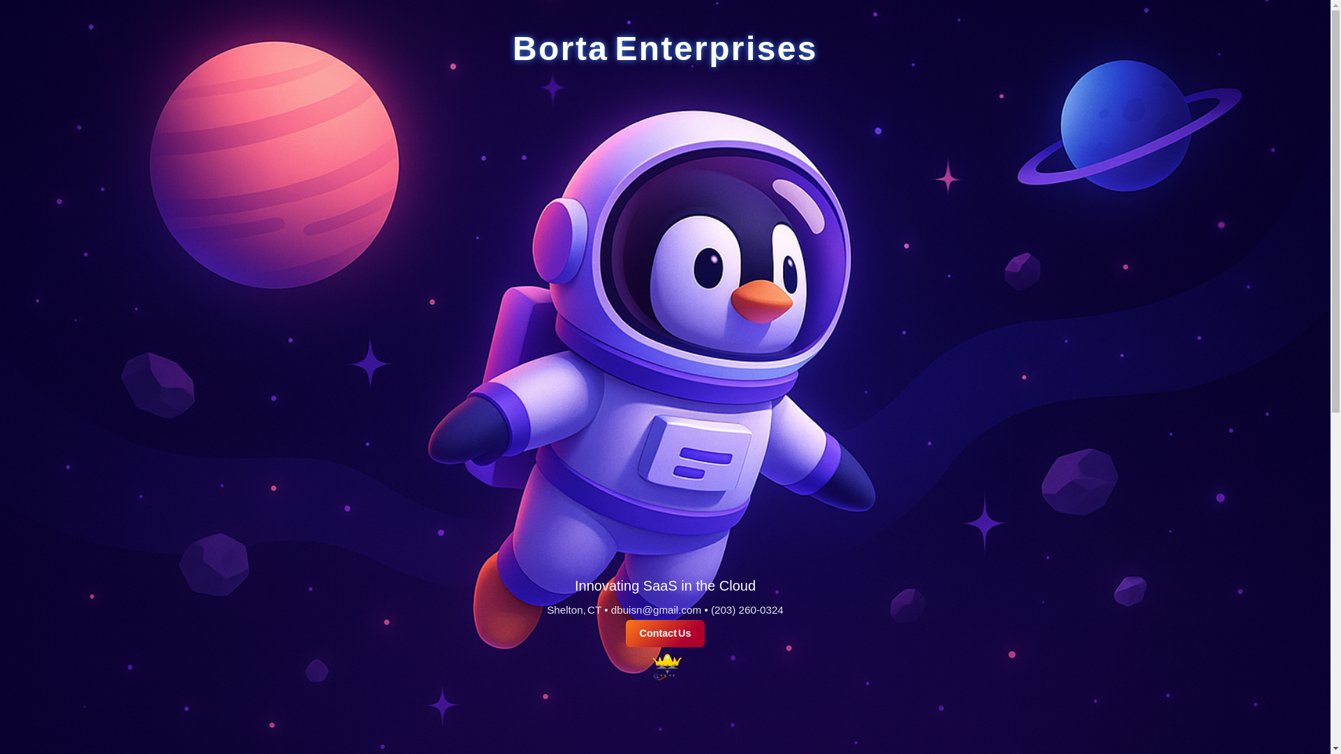 website screenshot of https://bortaenterprises.com/