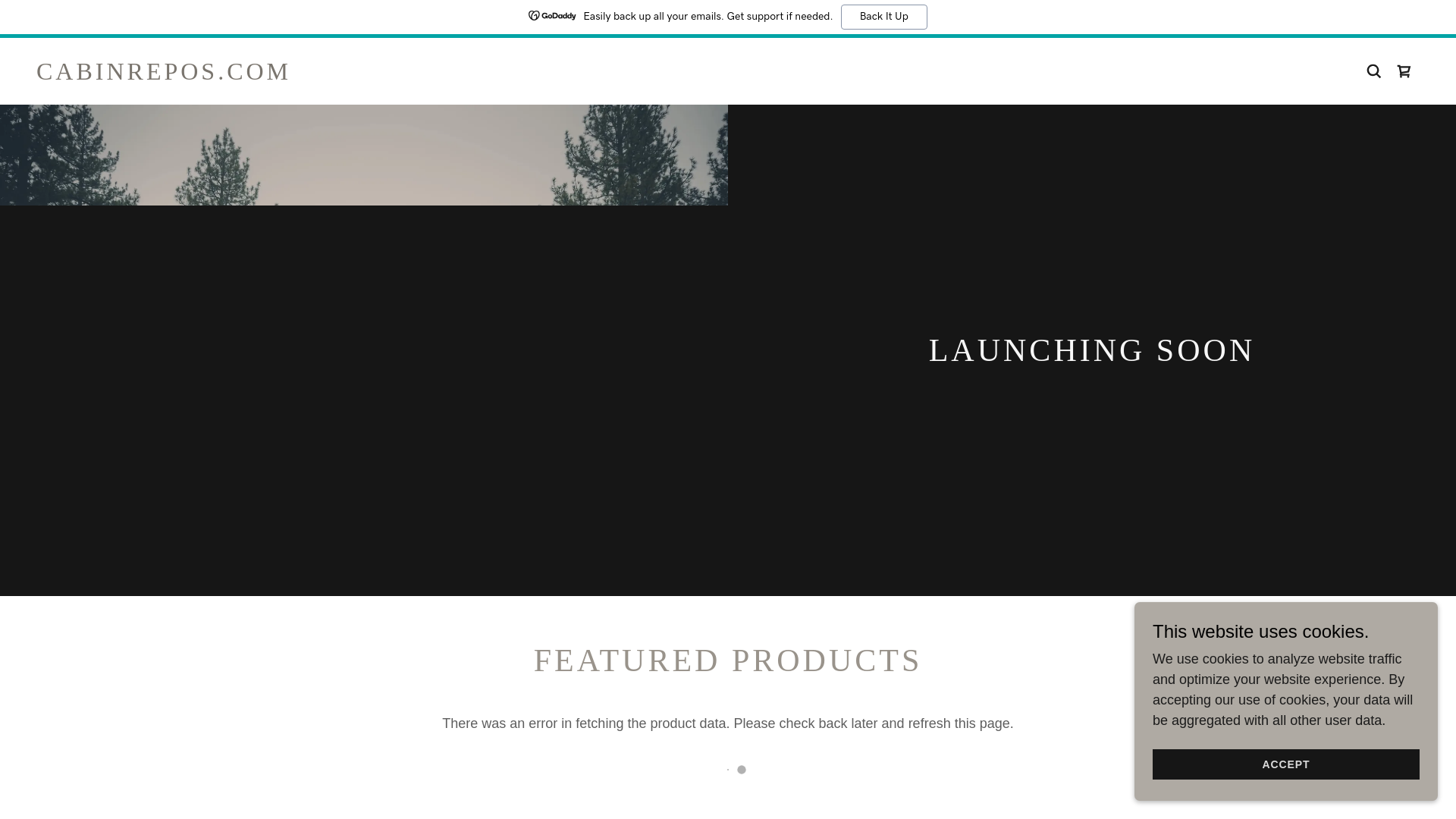 website screenshot of https://cabinrepos.com/