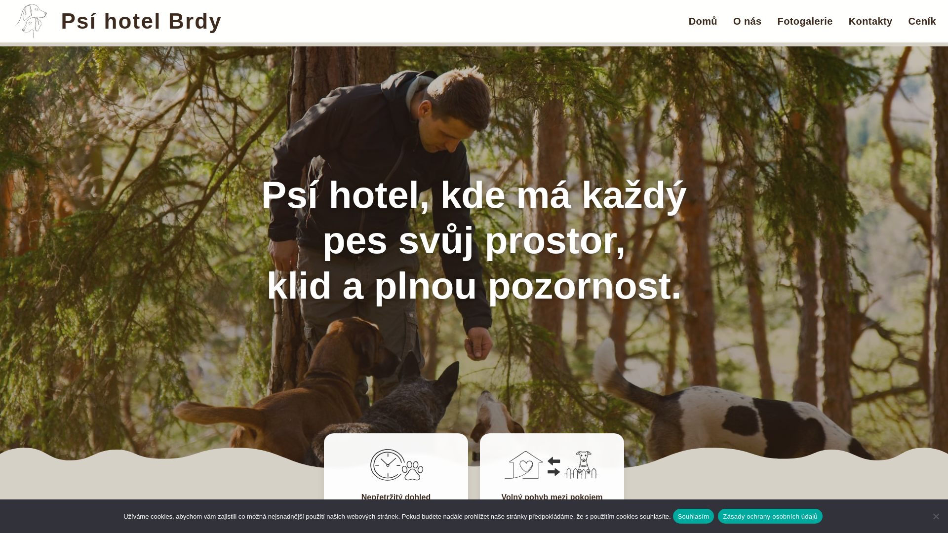 website screenshot of https://psihotelbrdy.cz