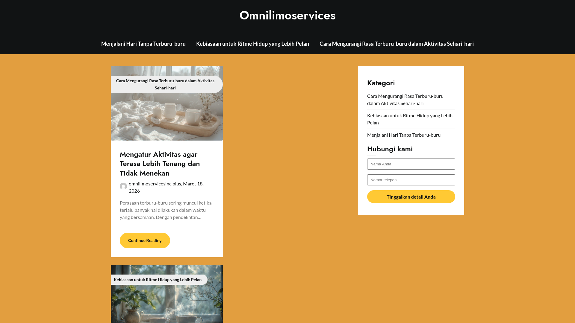 website screenshot of https://omnilimoservicesinc.plus