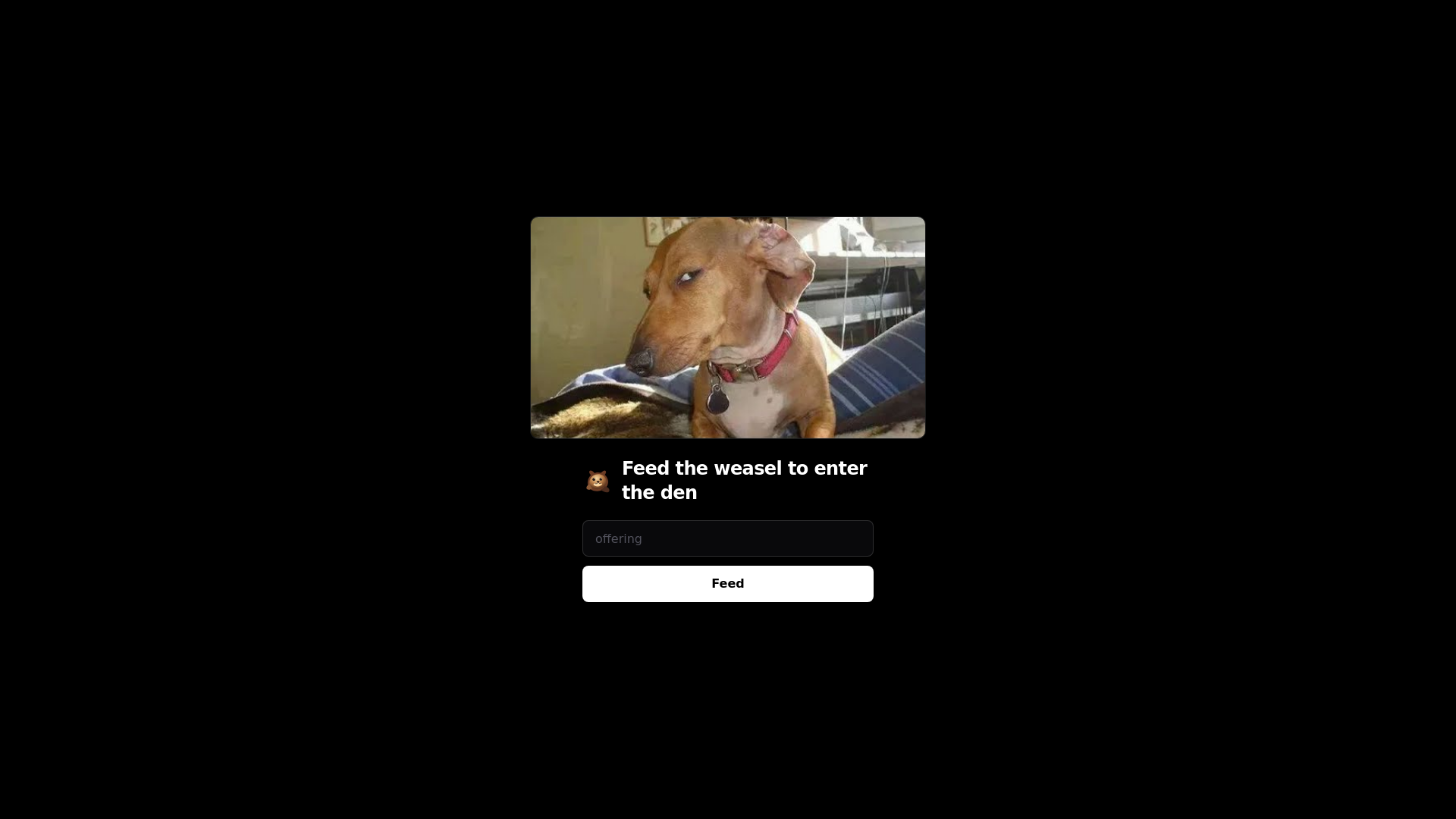 website screenshot of https://johnathanzhang.com/