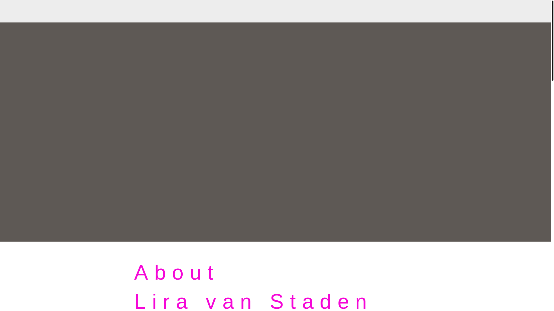 website screenshot of https://liravanstaden.com/