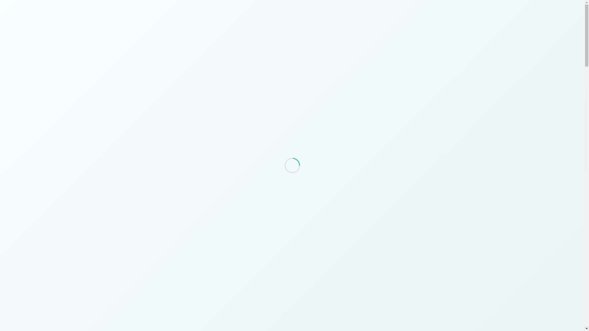 website screenshot of https://mersault-physician.pages.dev/
