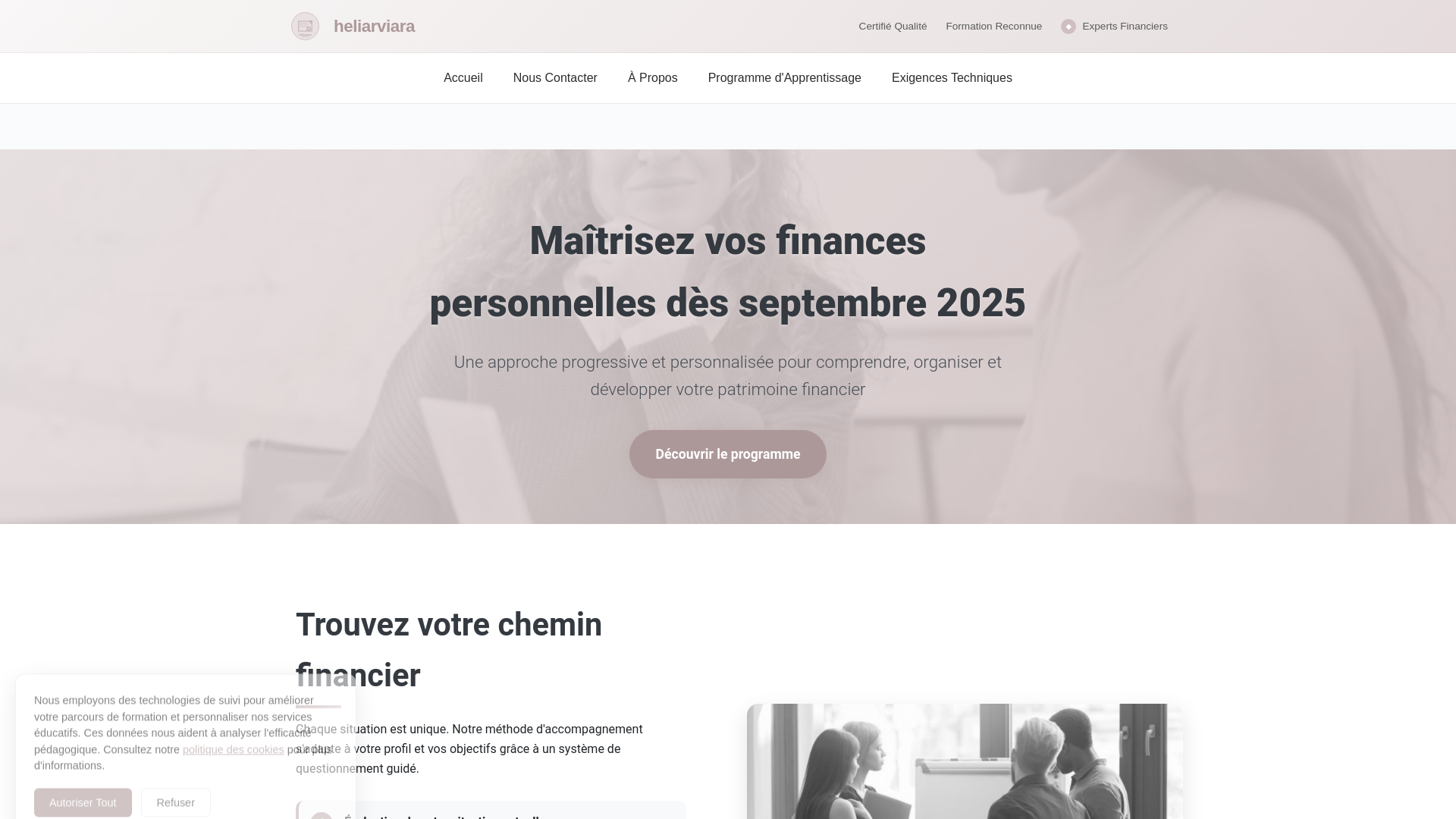 website screenshot of https://heliarviara.com