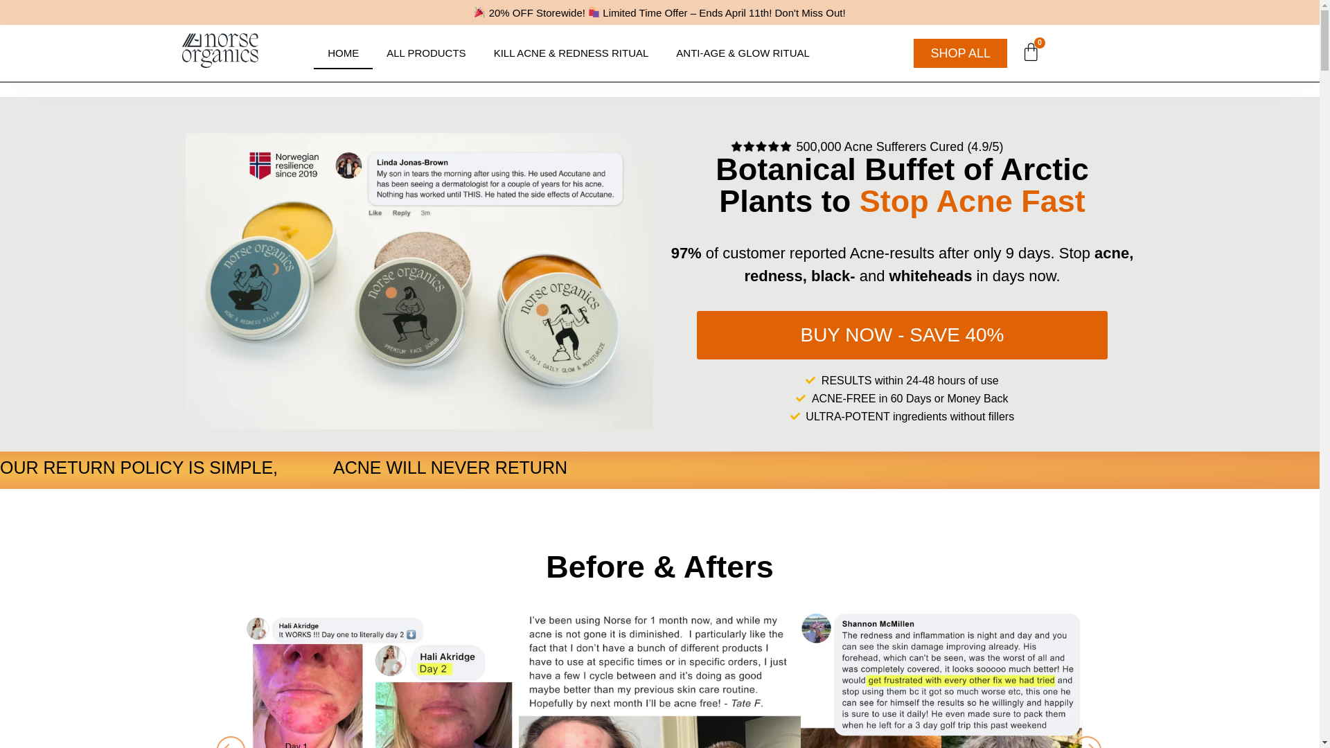 website screenshot of https://offi-organicnorse.com/