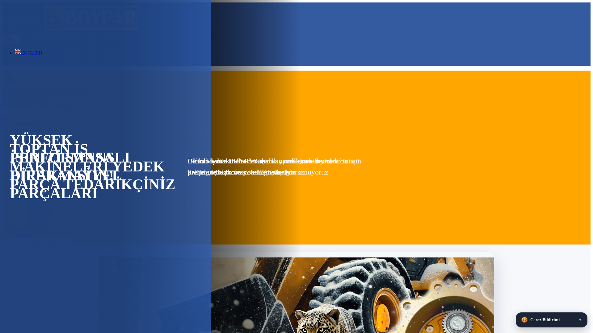 website screenshot of https://www.boyparmakina.com/