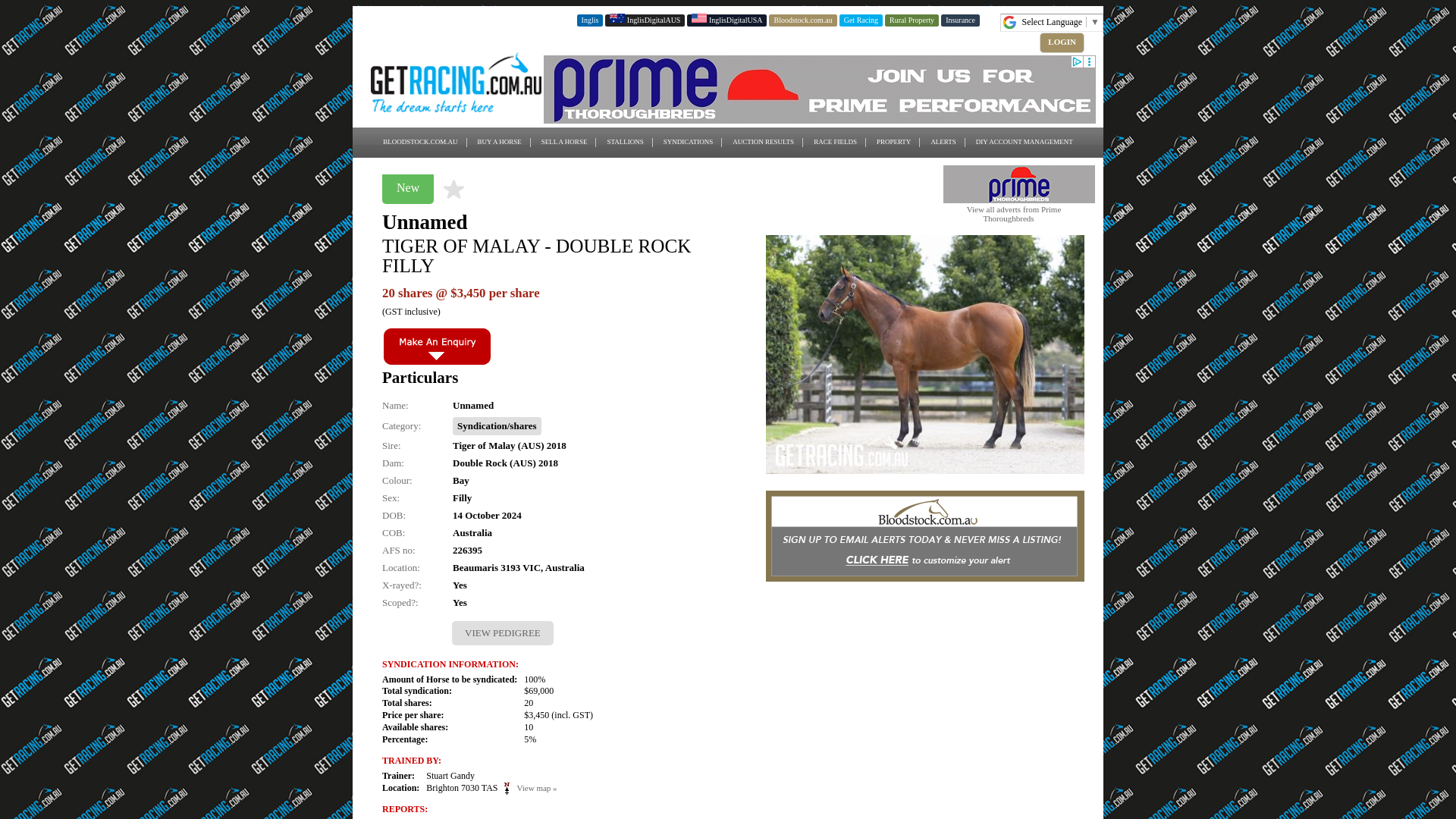 website screenshot of https://www.bloodstock.com.au/bloodstock/syndication-shares/tiger-of-malay-double-rock