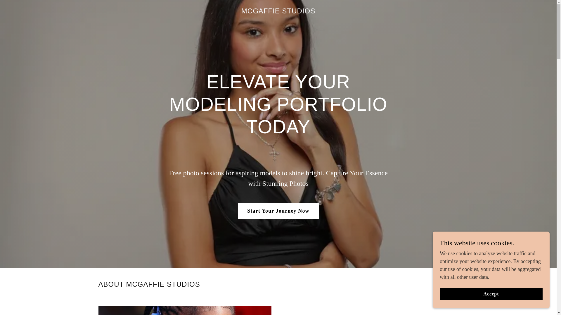 website screenshot of https://mcgaffiestudios.com/