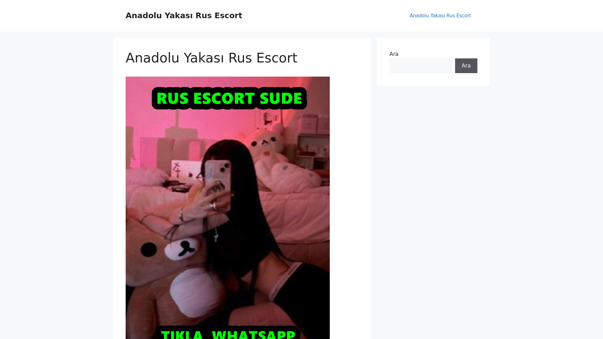 website screenshot of https://anadoluyakasirusescort.cfd