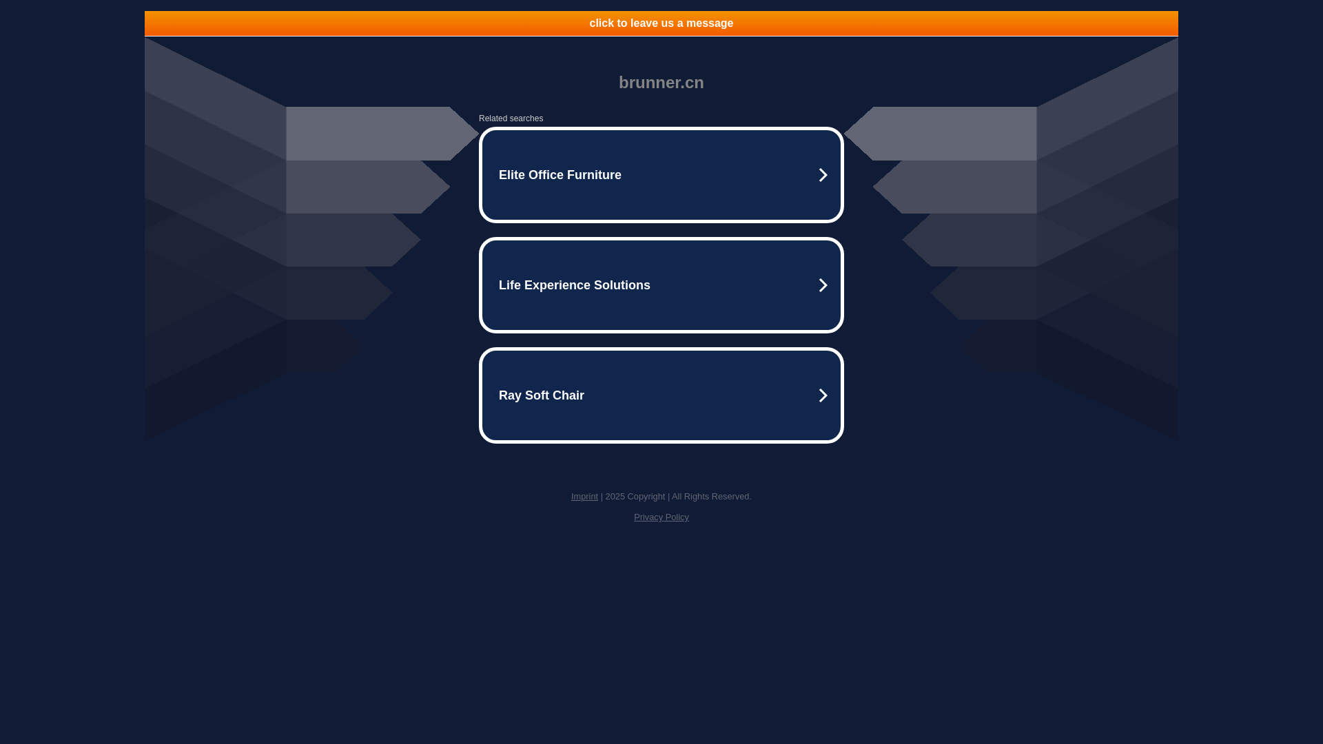 website screenshot of https://www.demo.brunner.cn