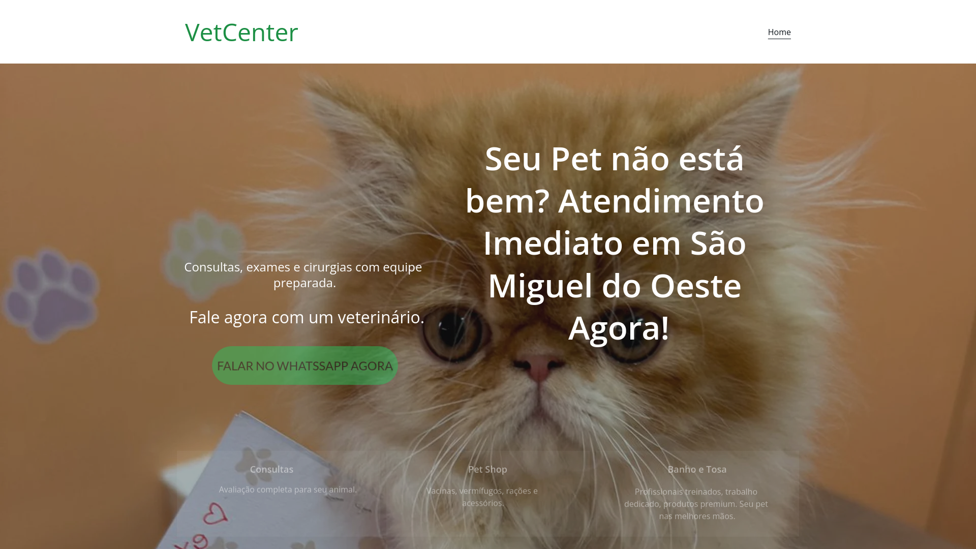 website screenshot of https://vetcentersmo.com.br/