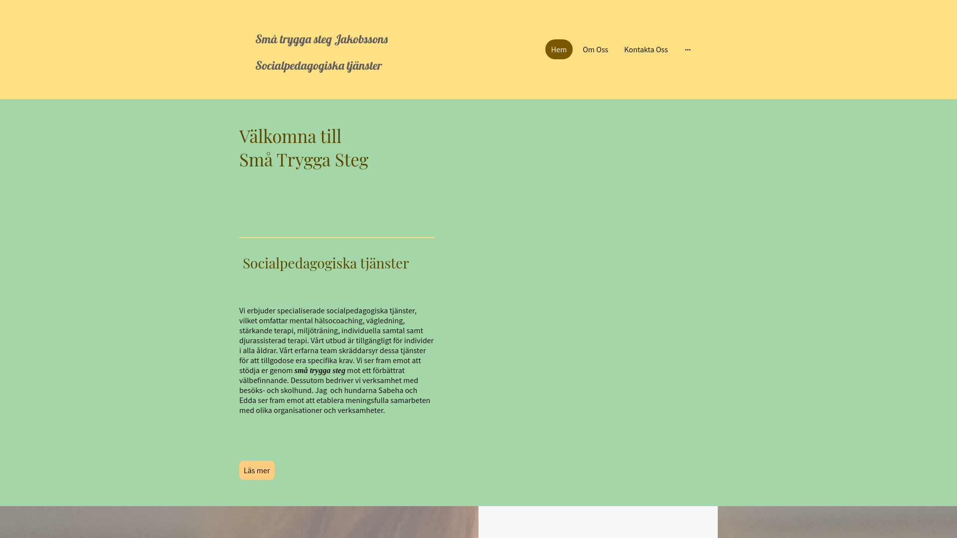 website screenshot of https://xn--smtryggasteg-ucb.se