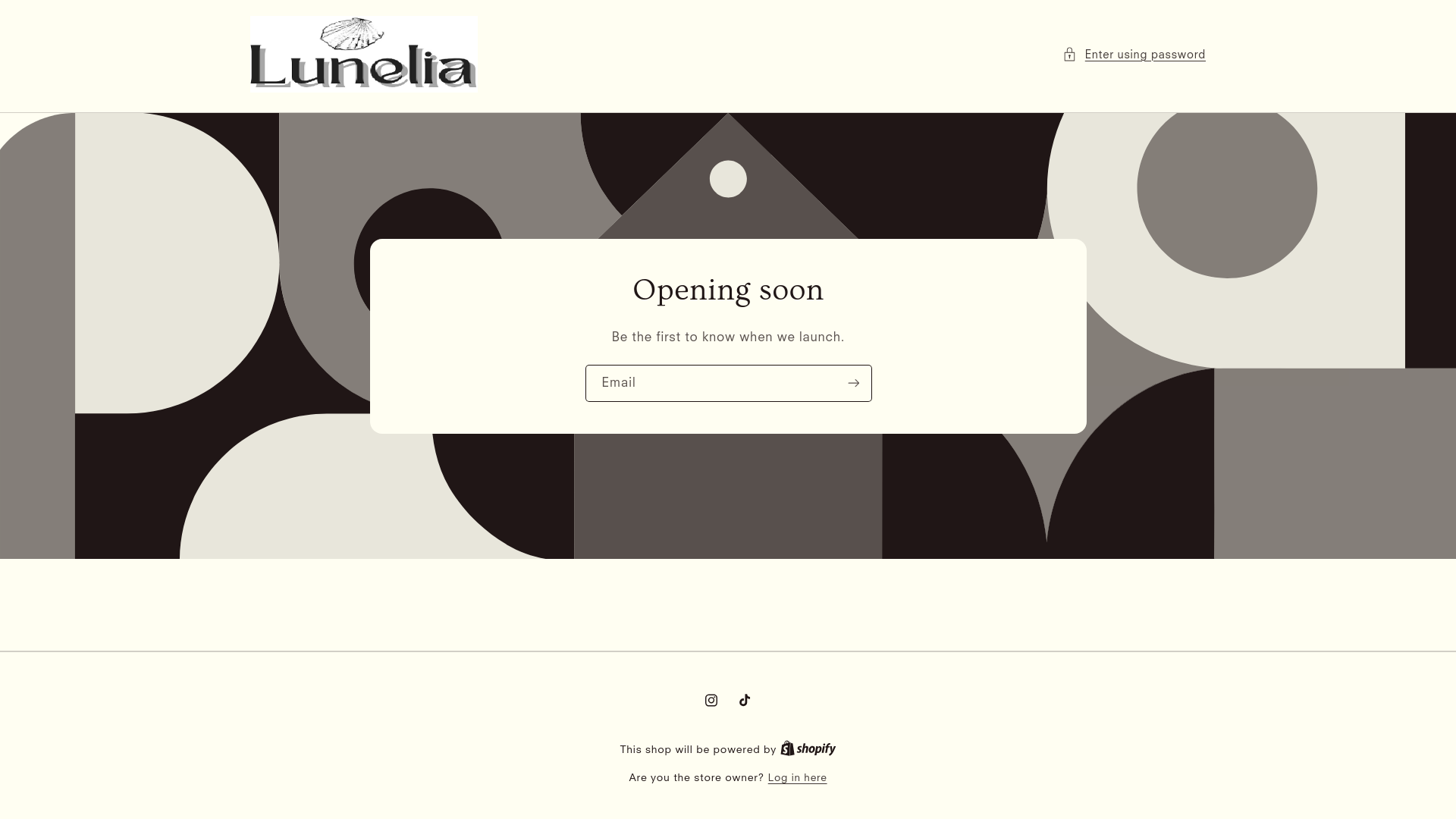 website screenshot of https://luneliastore.com/