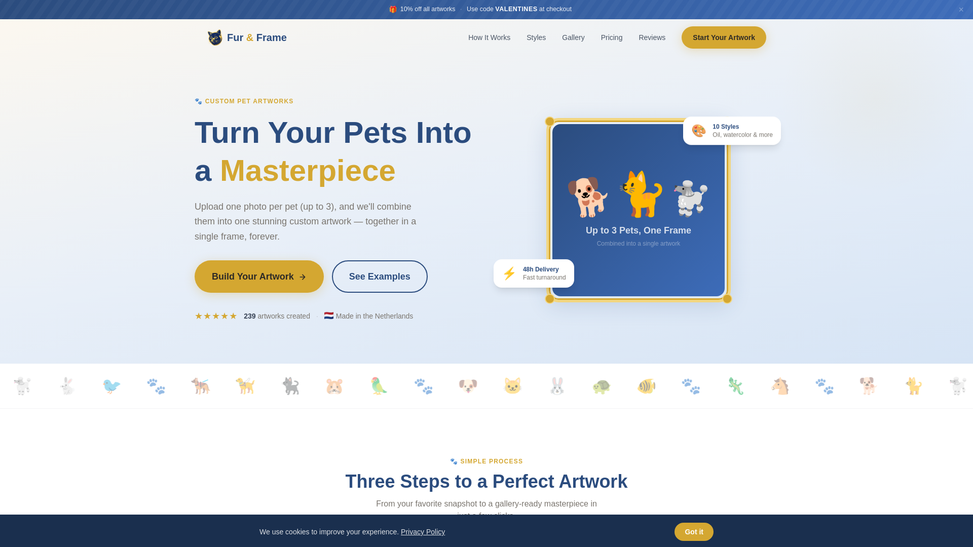 website screenshot of https://furandframe.co/