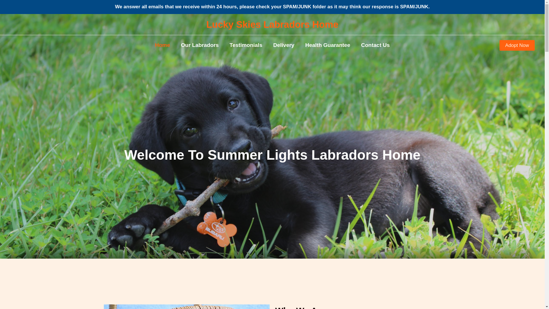 website screenshot of https://luckyskieslabradorshome.com/