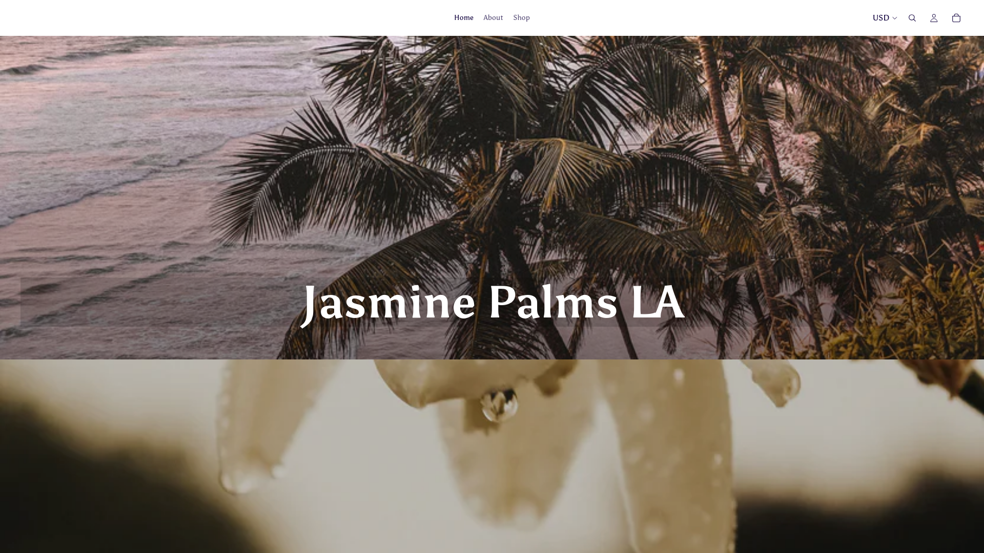 website screenshot of https://jasminepalmsla.com/