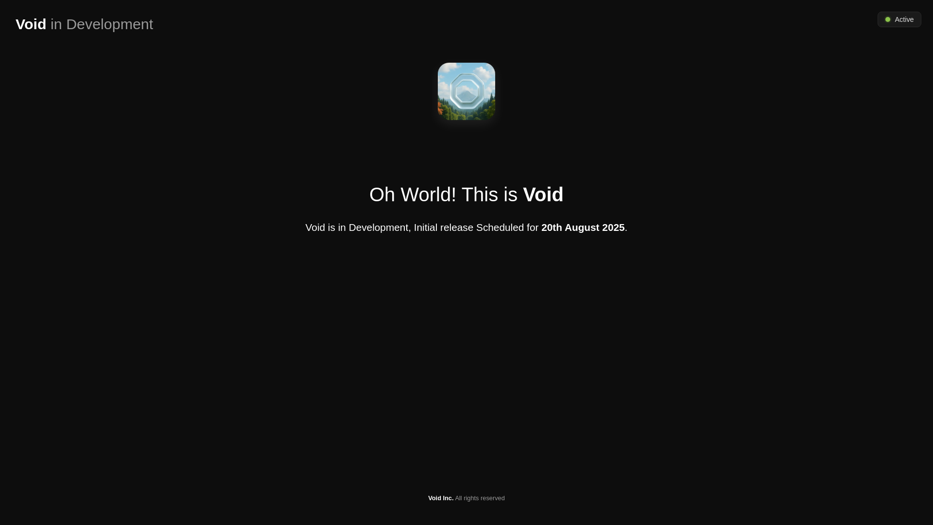 website screenshot of https://voidtest.pages.dev/