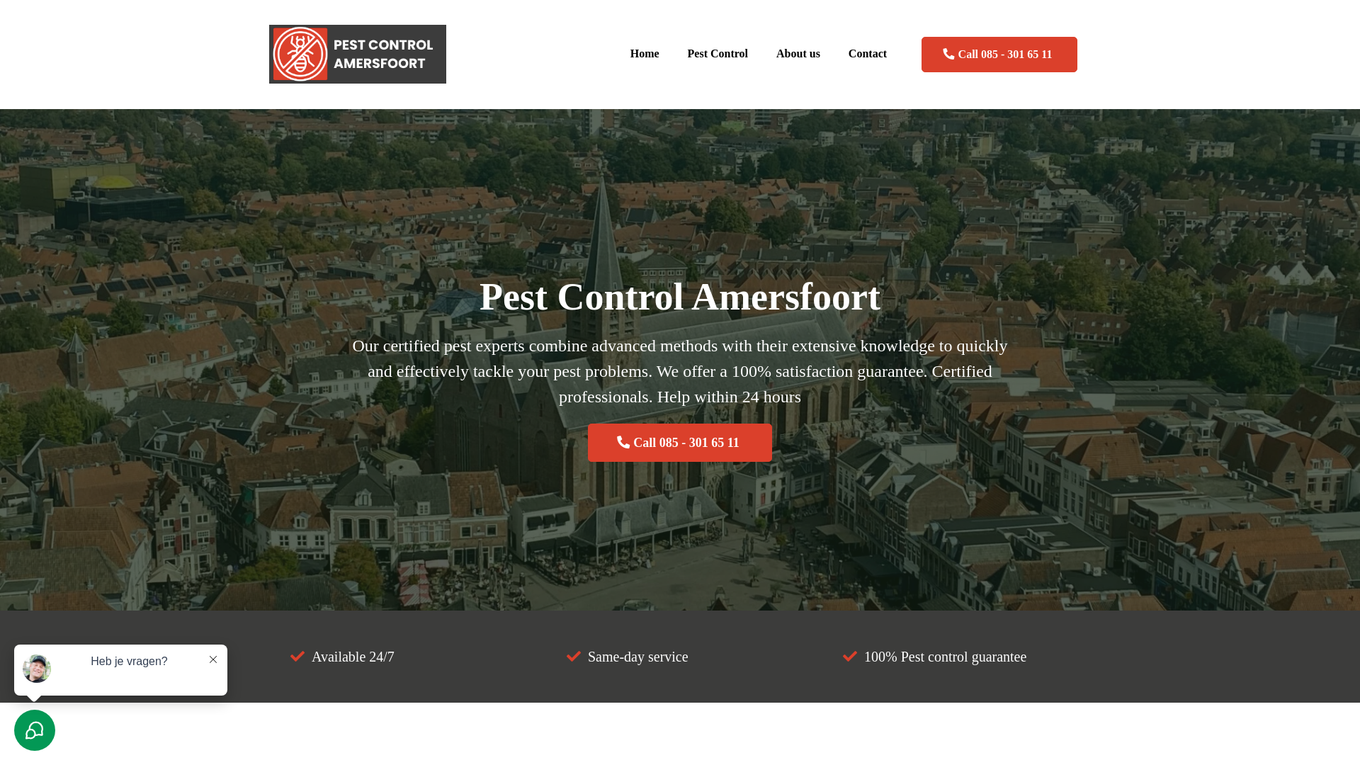 website screenshot of https://pestcontrolamersfoort.nl