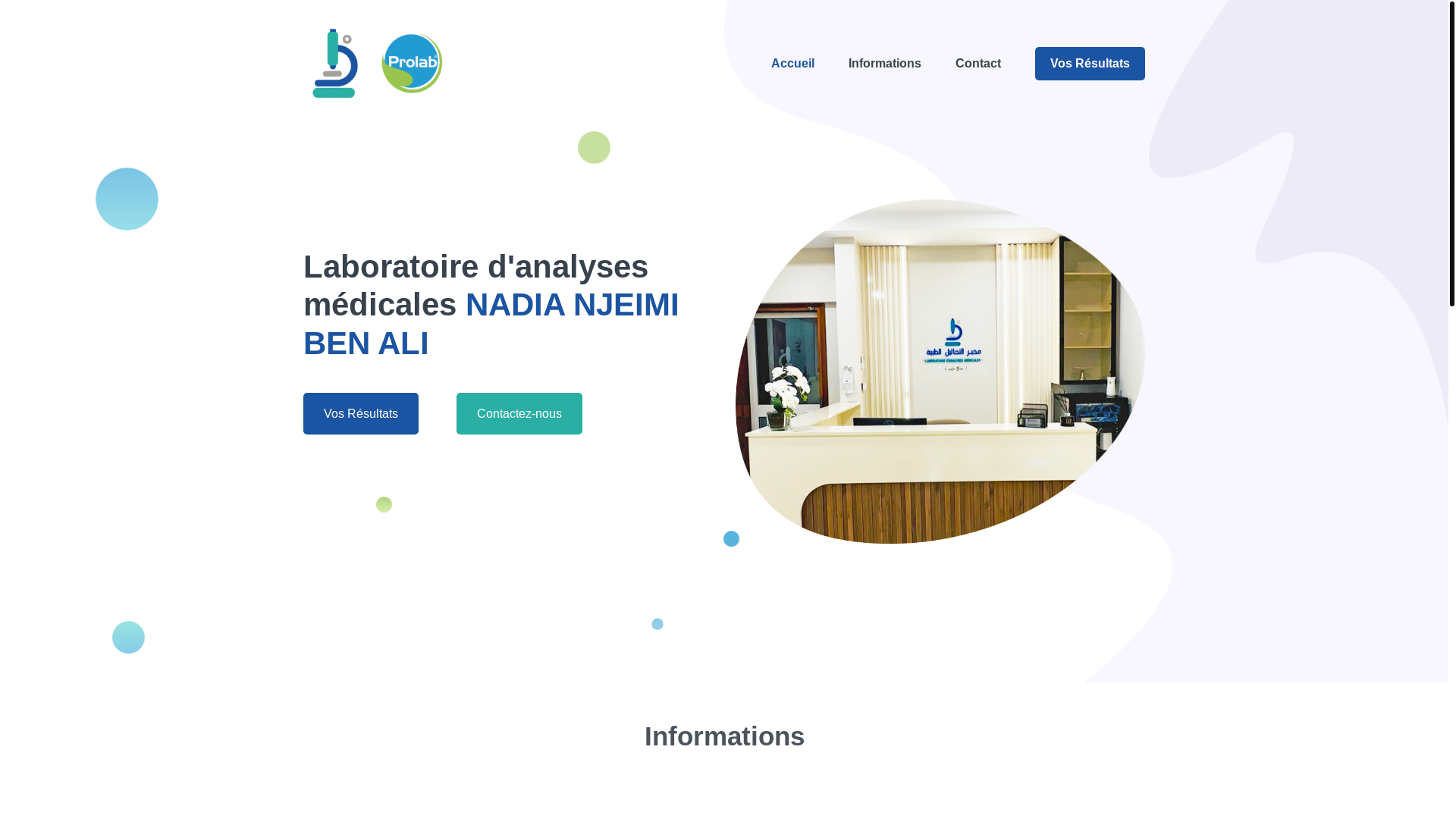 website screenshot of https://labo-nadia-njeimi.link/