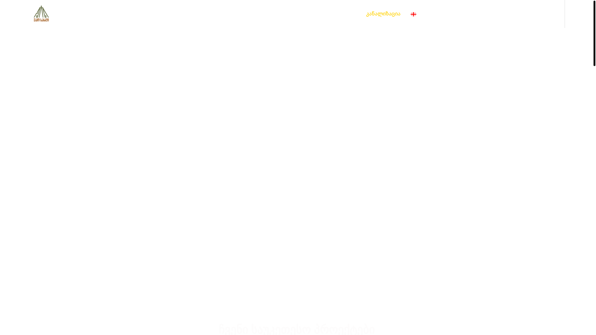 website screenshot of https://ecohouseshin.ge/