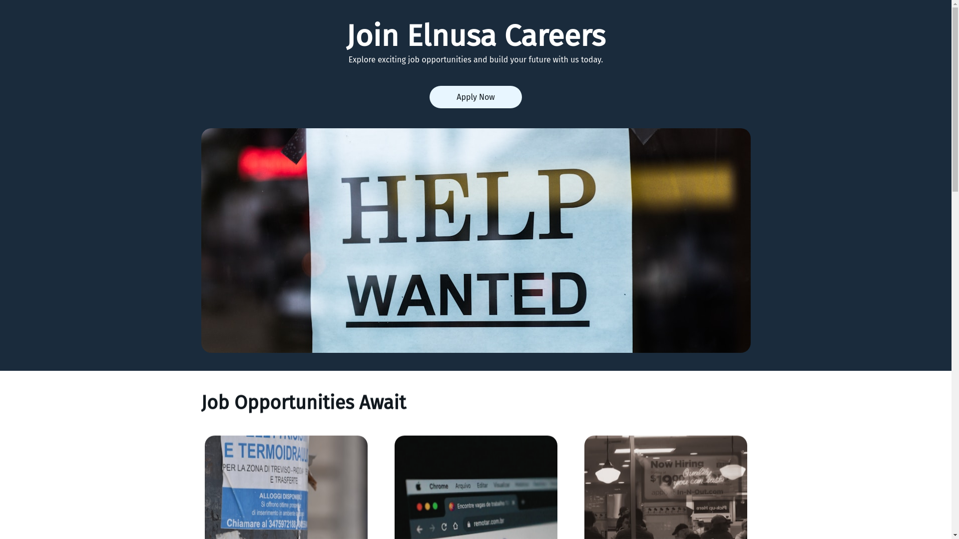 website screenshot of https://elnusacareer.id/