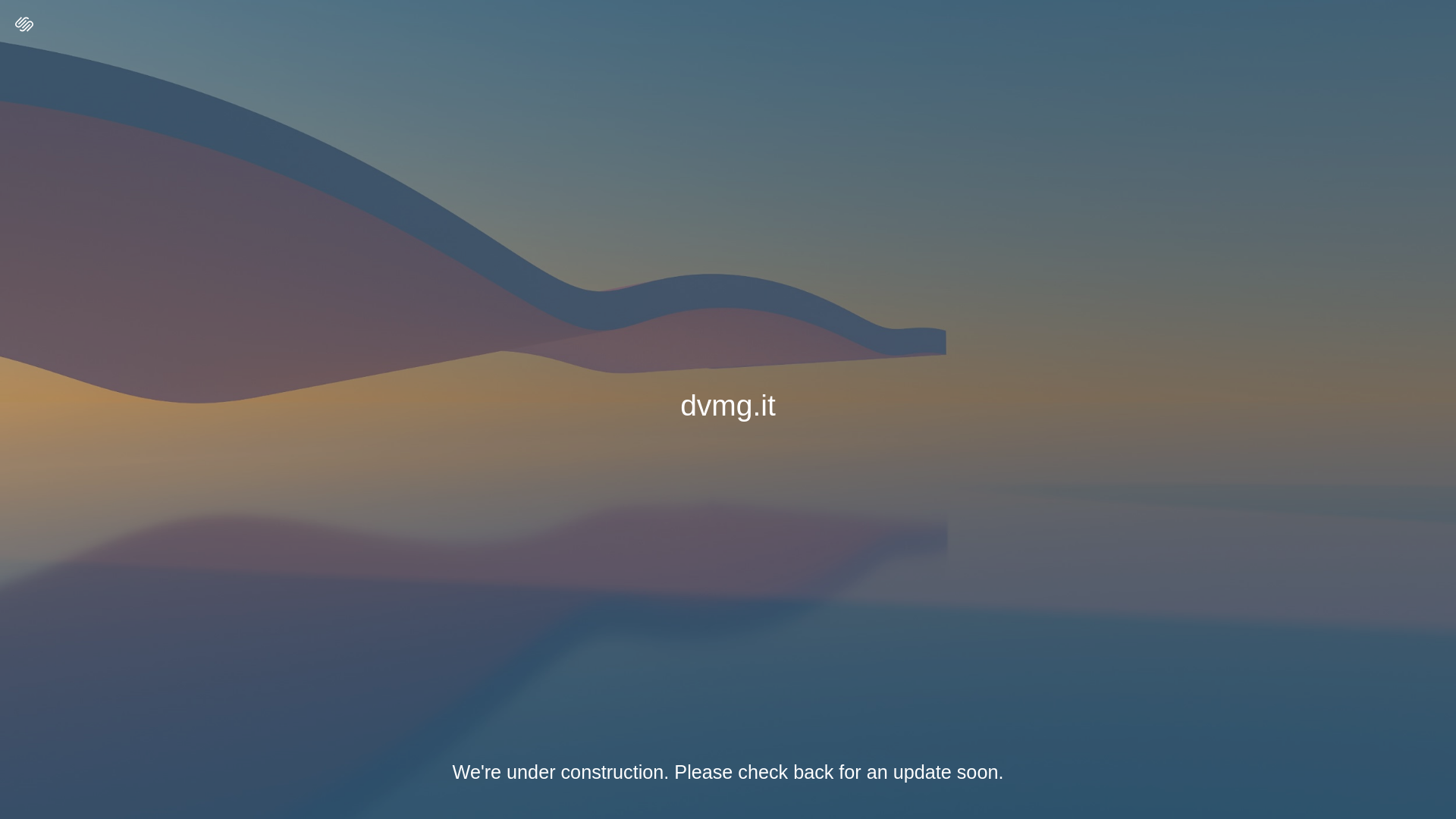 website screenshot of https://dvmg.it/