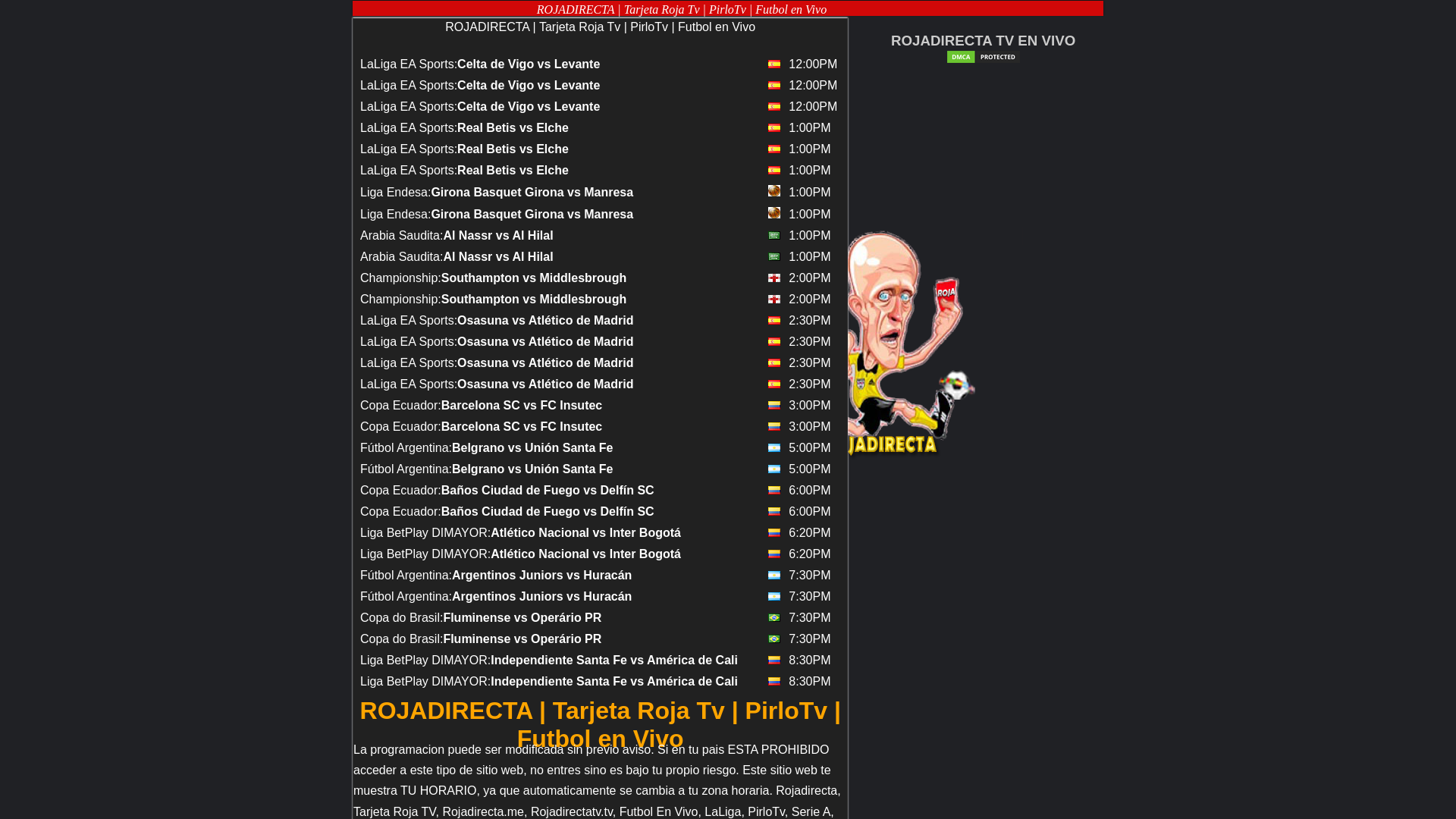 website screenshot of https://www.rojadirectapirlo.de/bein.php