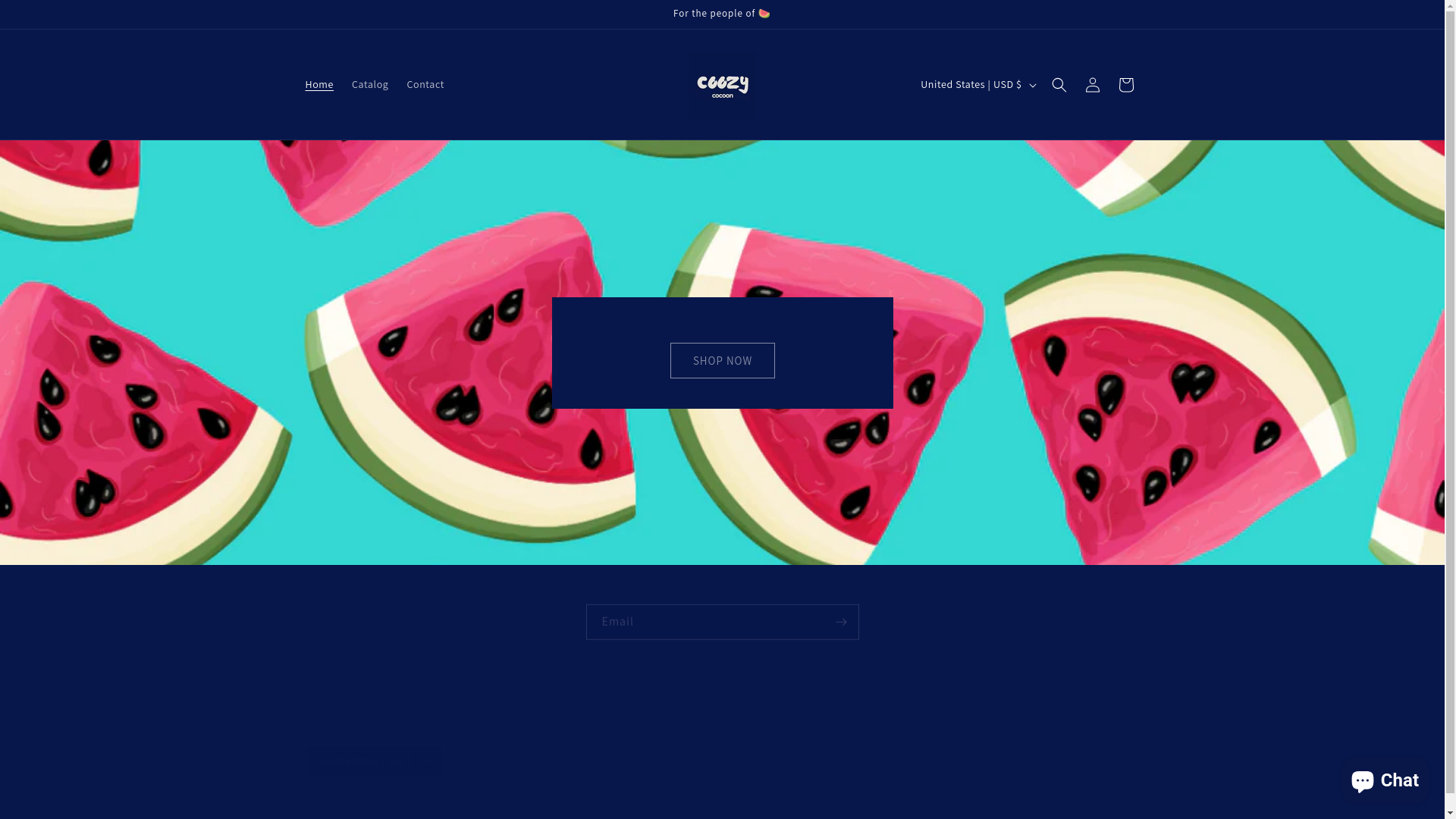 website screenshot of https://coozycocoon.store/
