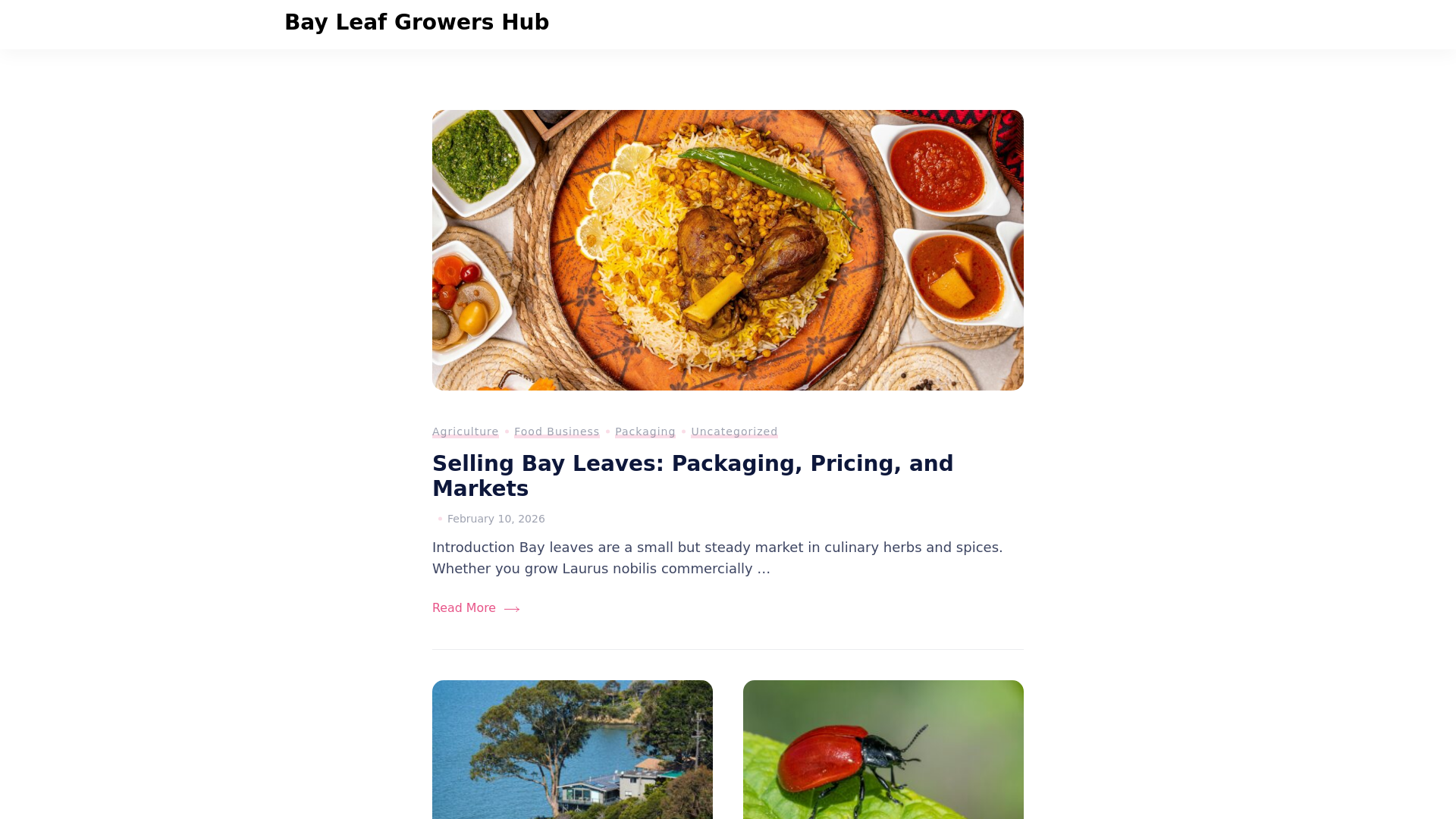 website screenshot of https://novatechniks.ru/