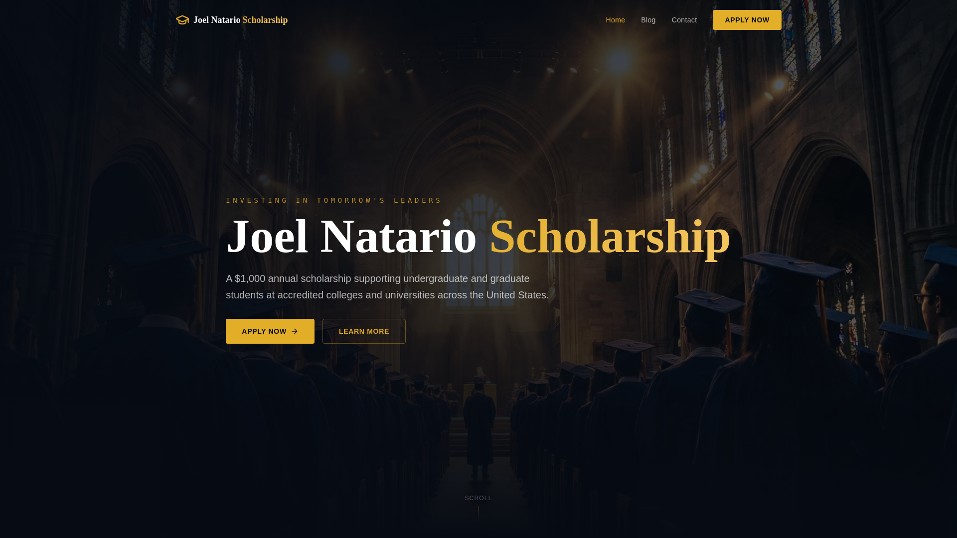 website screenshot of https://joelnatarioscholarship.com/
