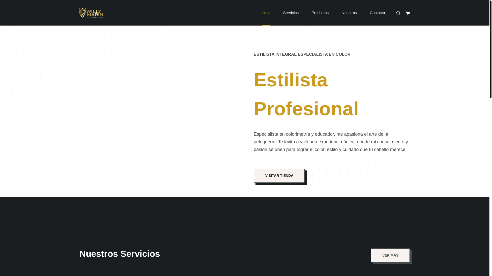 website screenshot of https://willymarin.com/